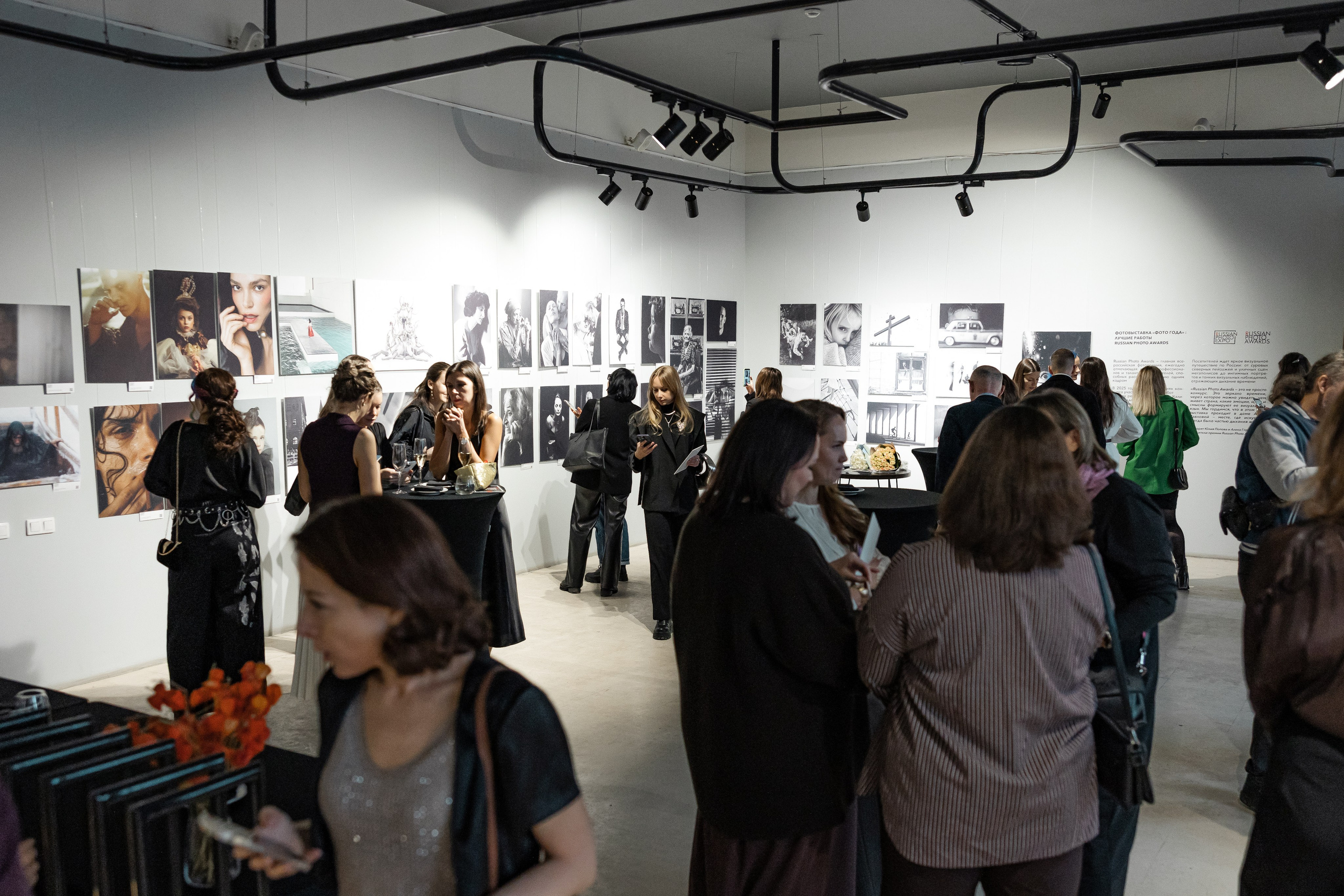 Фотовыставки. Фотограф Александра Тимофеева