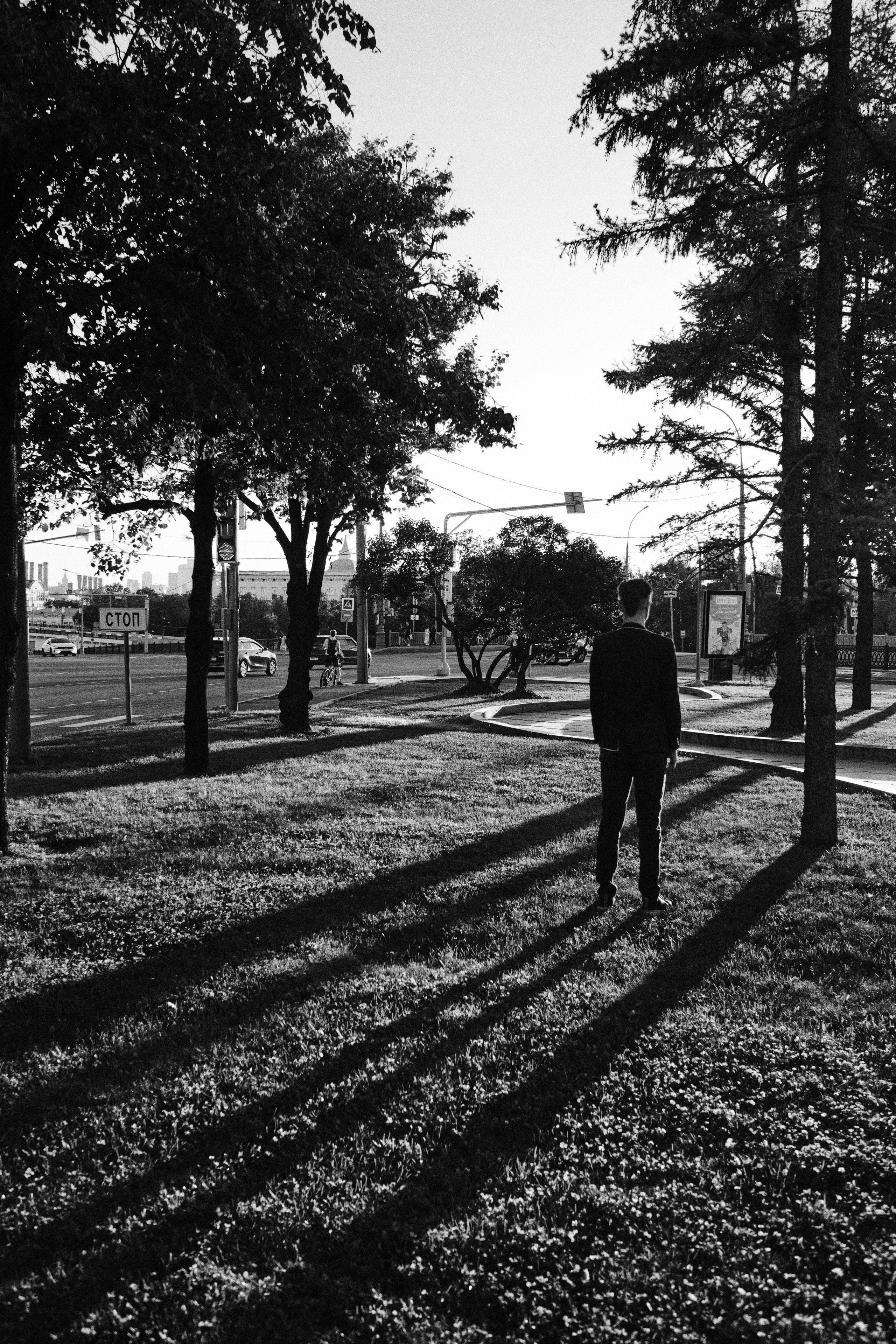 Мужчина на поляне с отдельно стоящими деревьями отбрасывают длинные тени