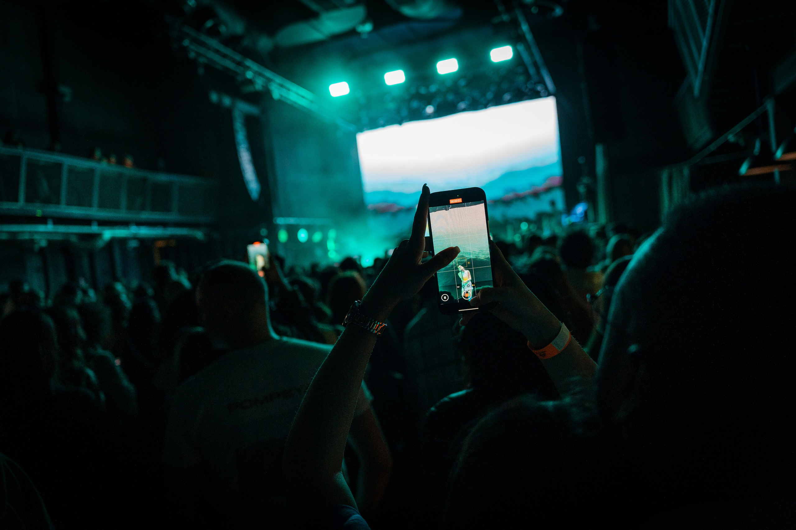 Gayana. Магия музыки в кадре: Концертная Фотография