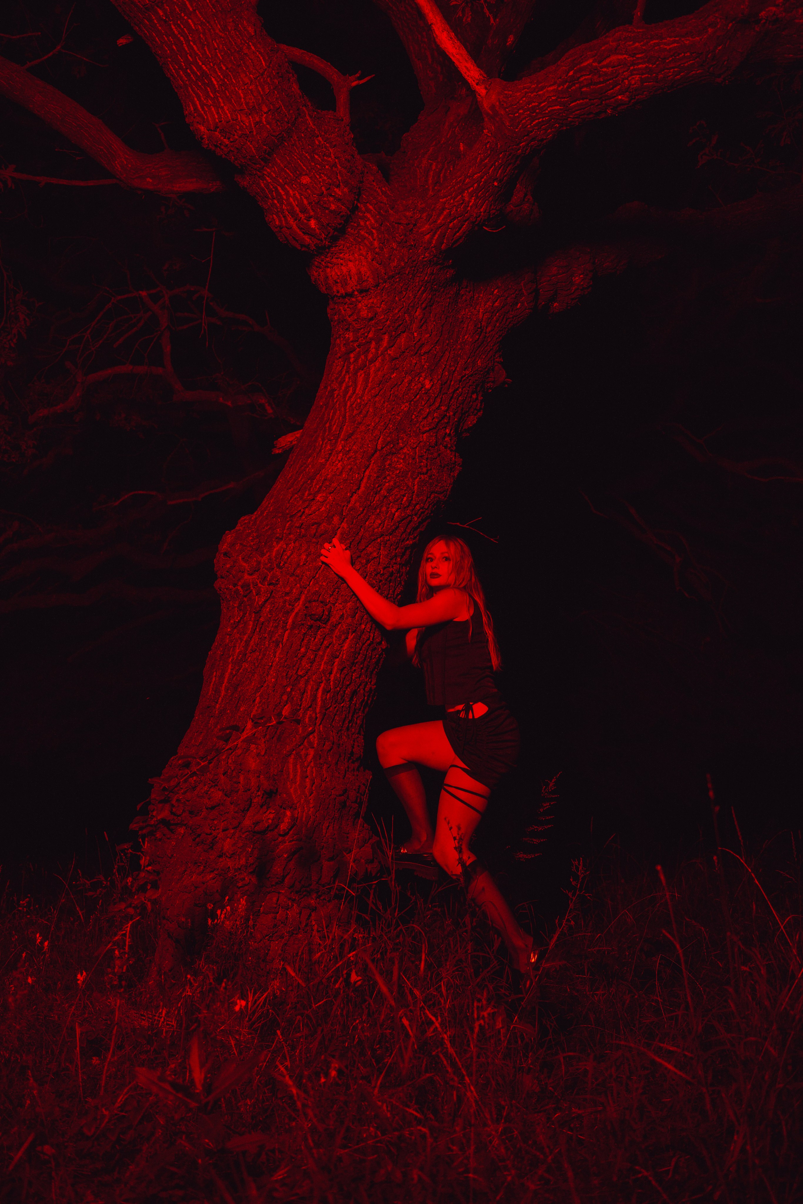 Ночной стиль дубов. Свадебный и репортажный фотограф Павел Царьков