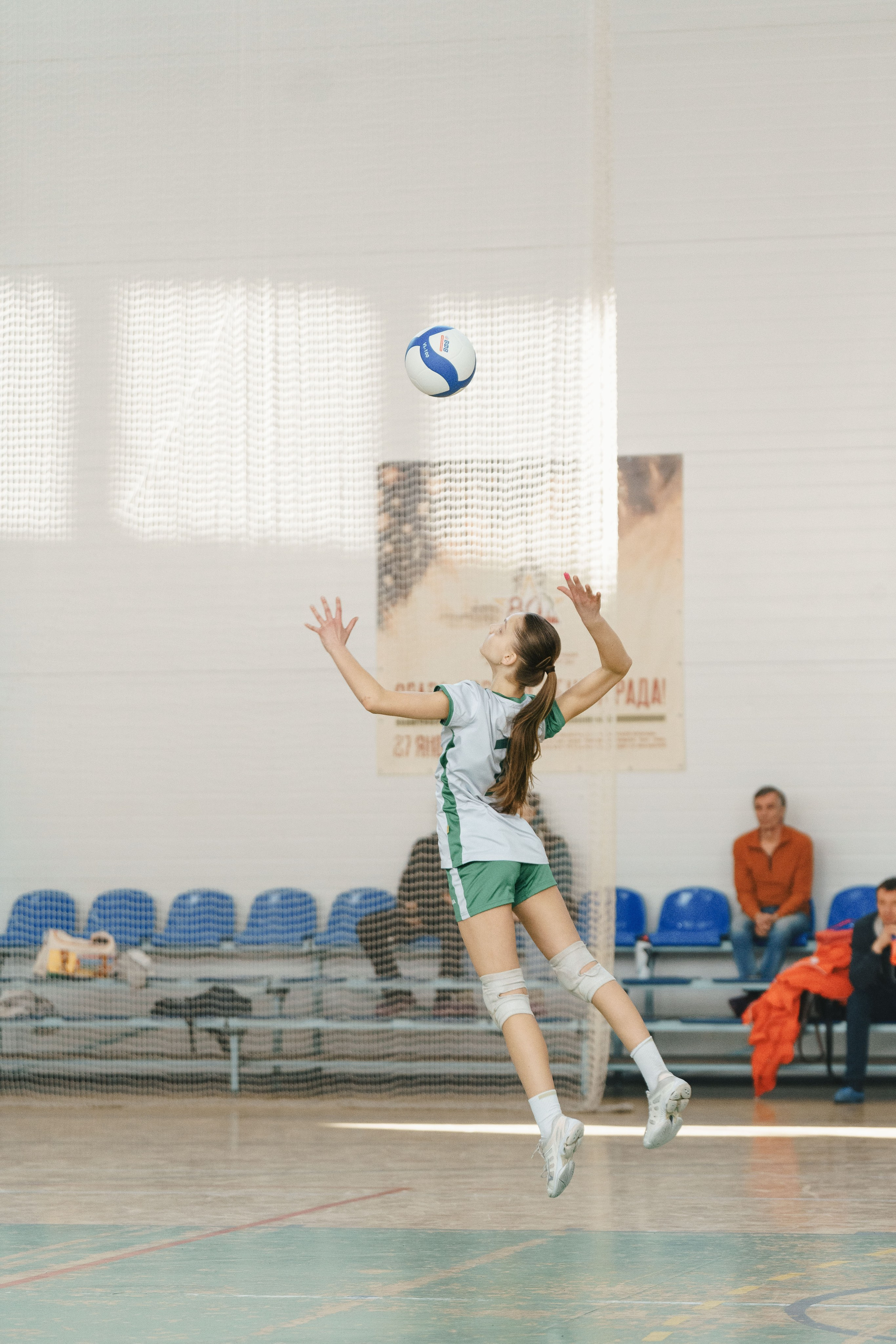 Волейбол торус. Фотограф-анималист в Санкт-Петербурге