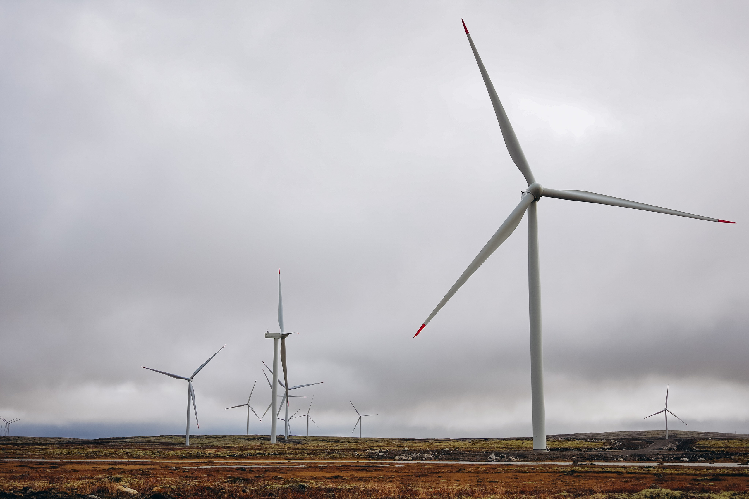 СЕВЕР. Event фотограф Степанова Александра