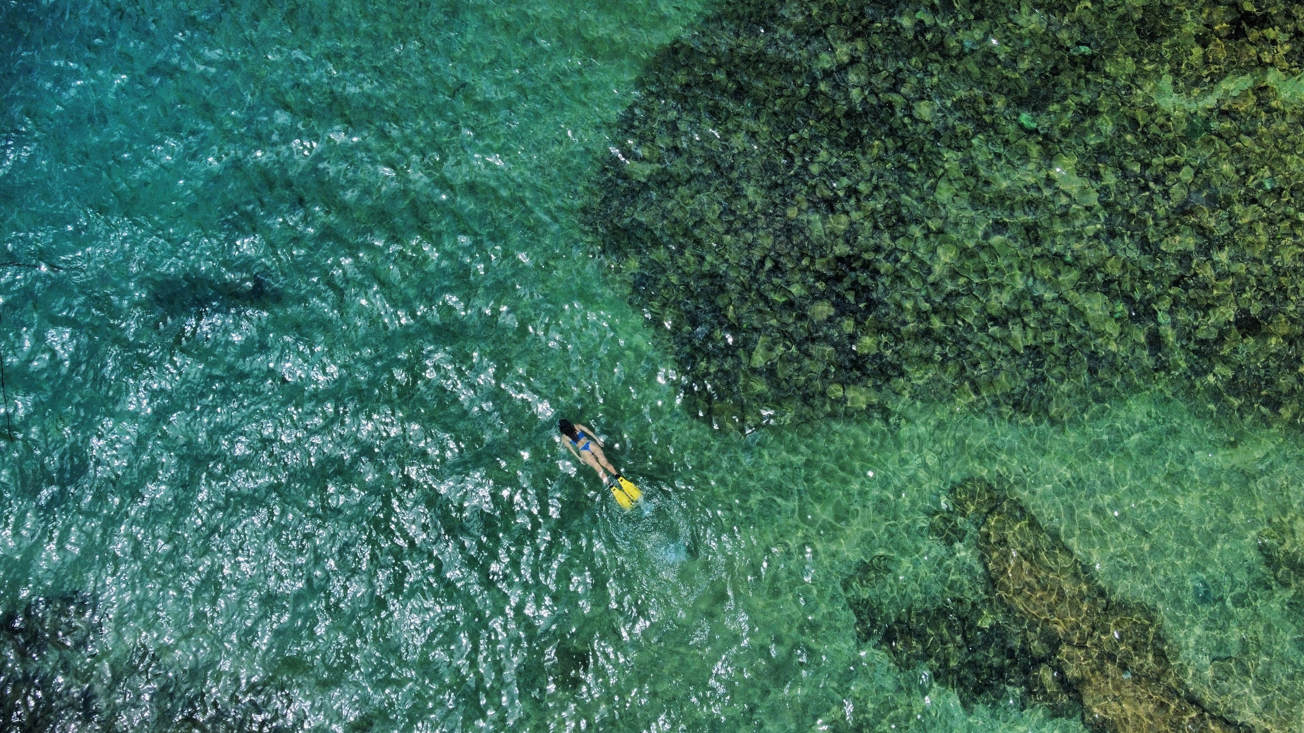 Фотосессии. Filmmaker Vadim Averin