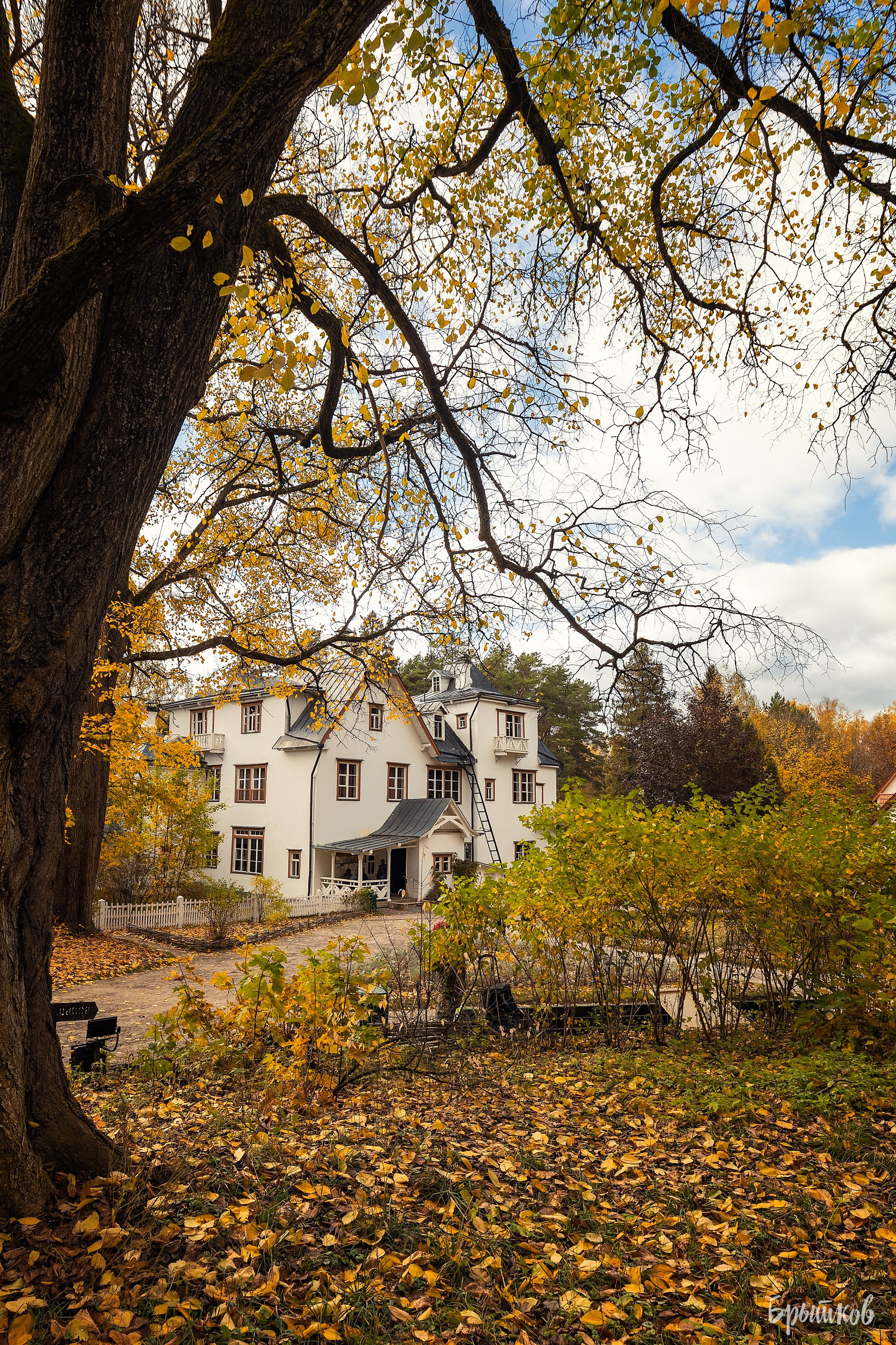 Поленово. Николай Брытков — фотограф в Туле