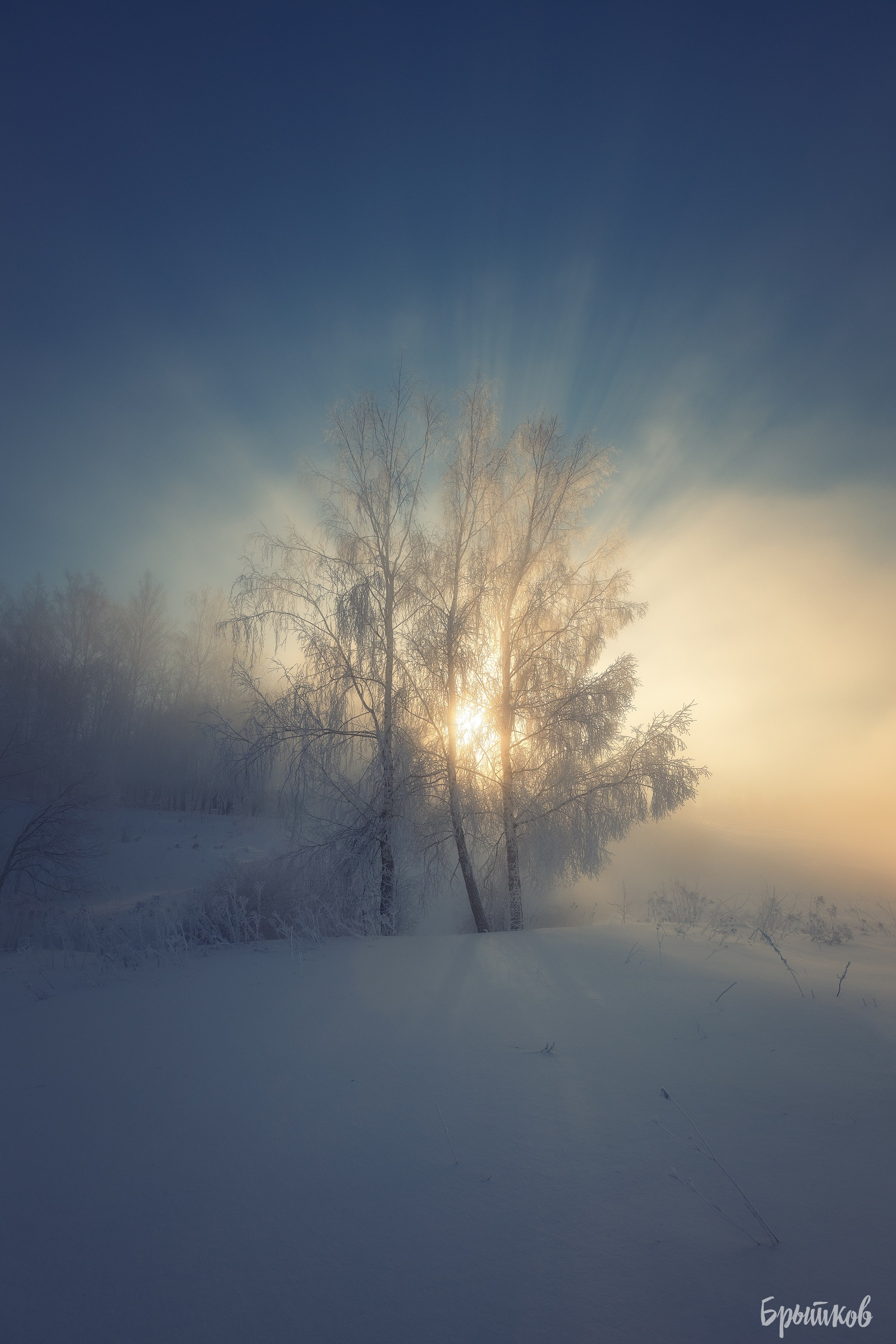 Ручей Деготня. Николай Брытков — фотограф в Туле