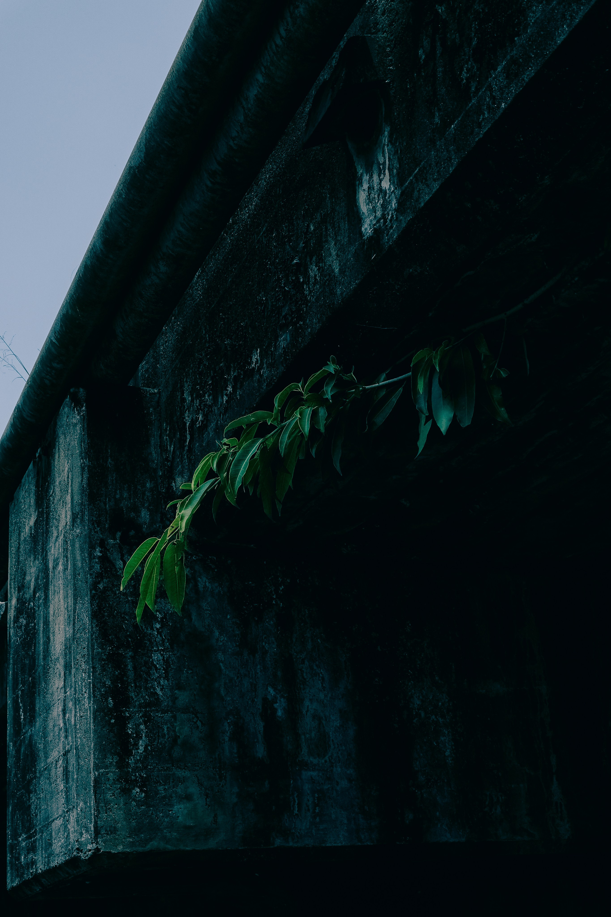 Шри-Ланка. Фотограф Алиса Аспер