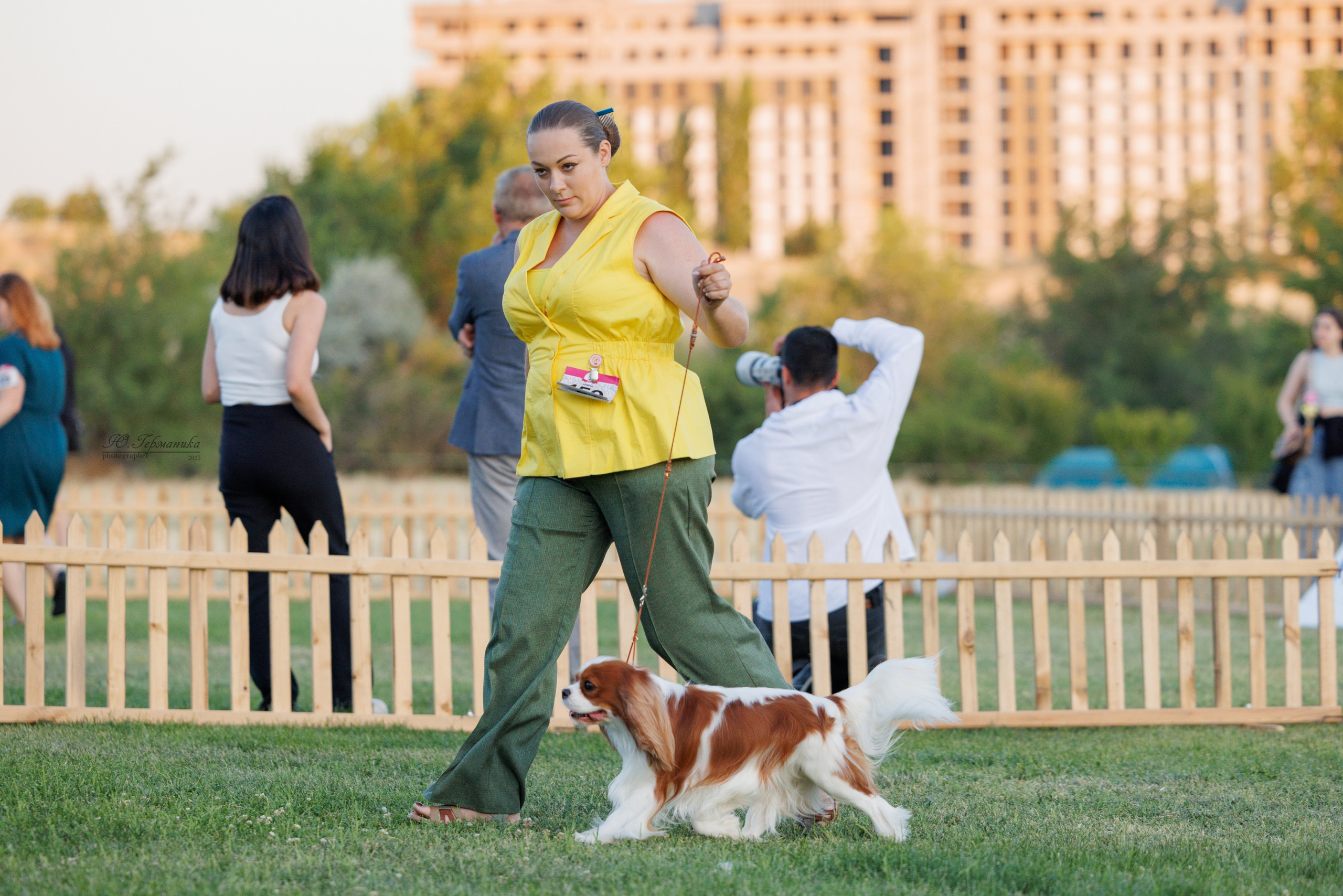 Ереван 3хCACIB 23-25.06.2025. Фотограф-анималист Юлия Германика