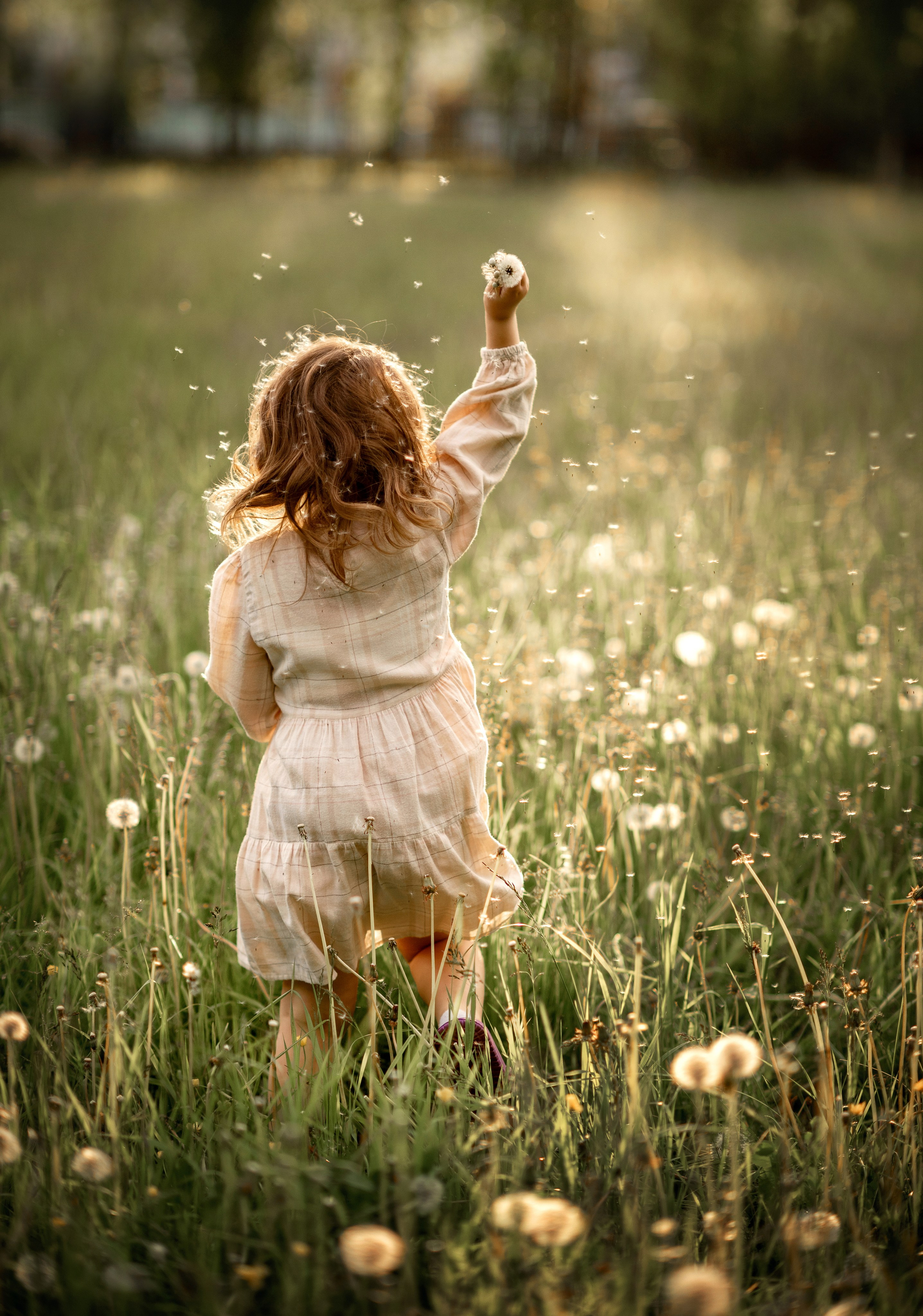 Фотосессия в поле 