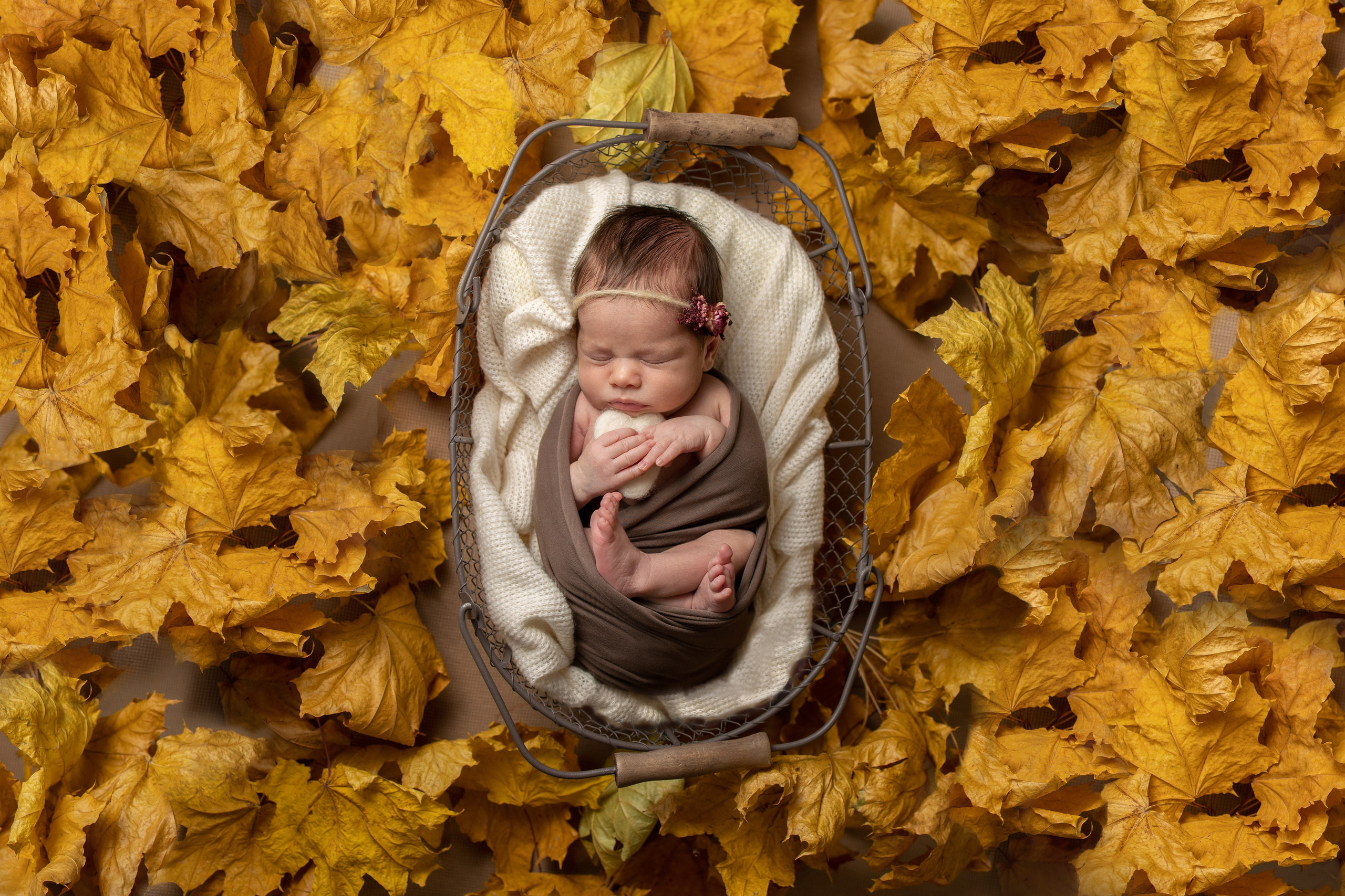 Новорождённые. ФОТОГРАФ НОВОРОЖДЁННЫХ САНКТ-ПЕТЕРБУРГ — ДАРЬЯ ПОПОВА