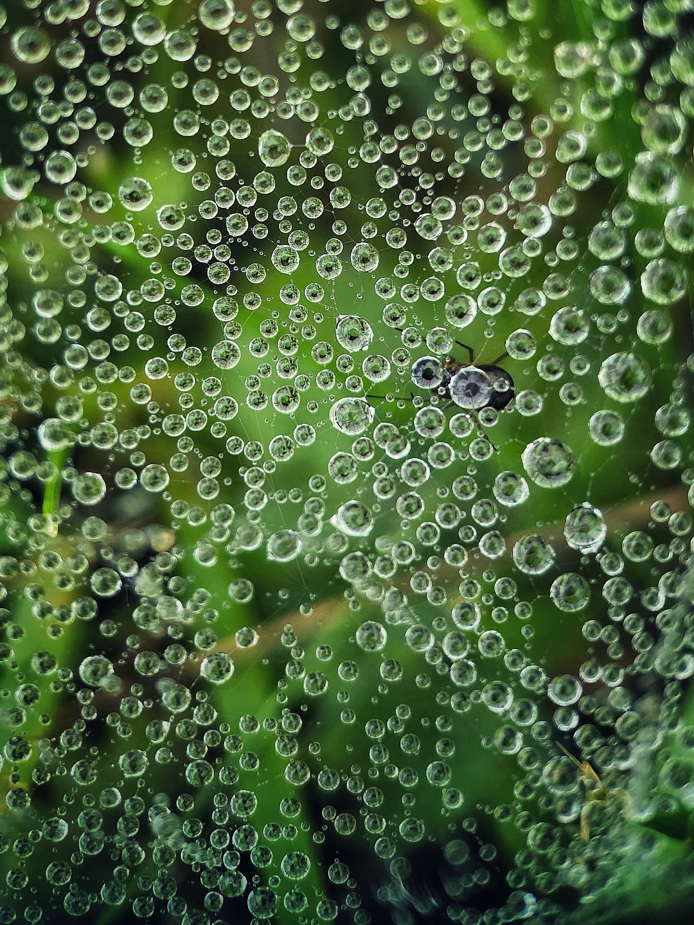 Фактуры. Фотограф Ольга Мурзина