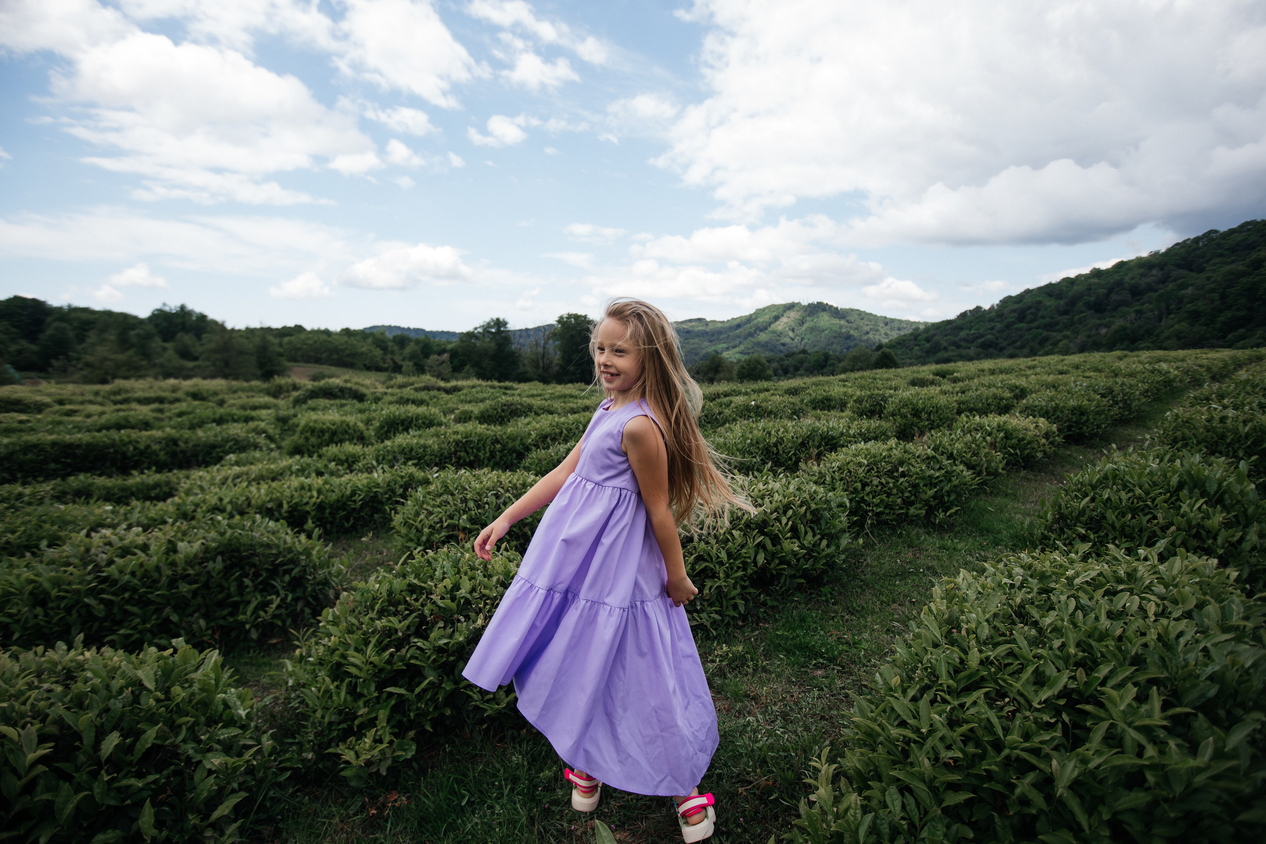 Tea plantation. Efimova Model Agency