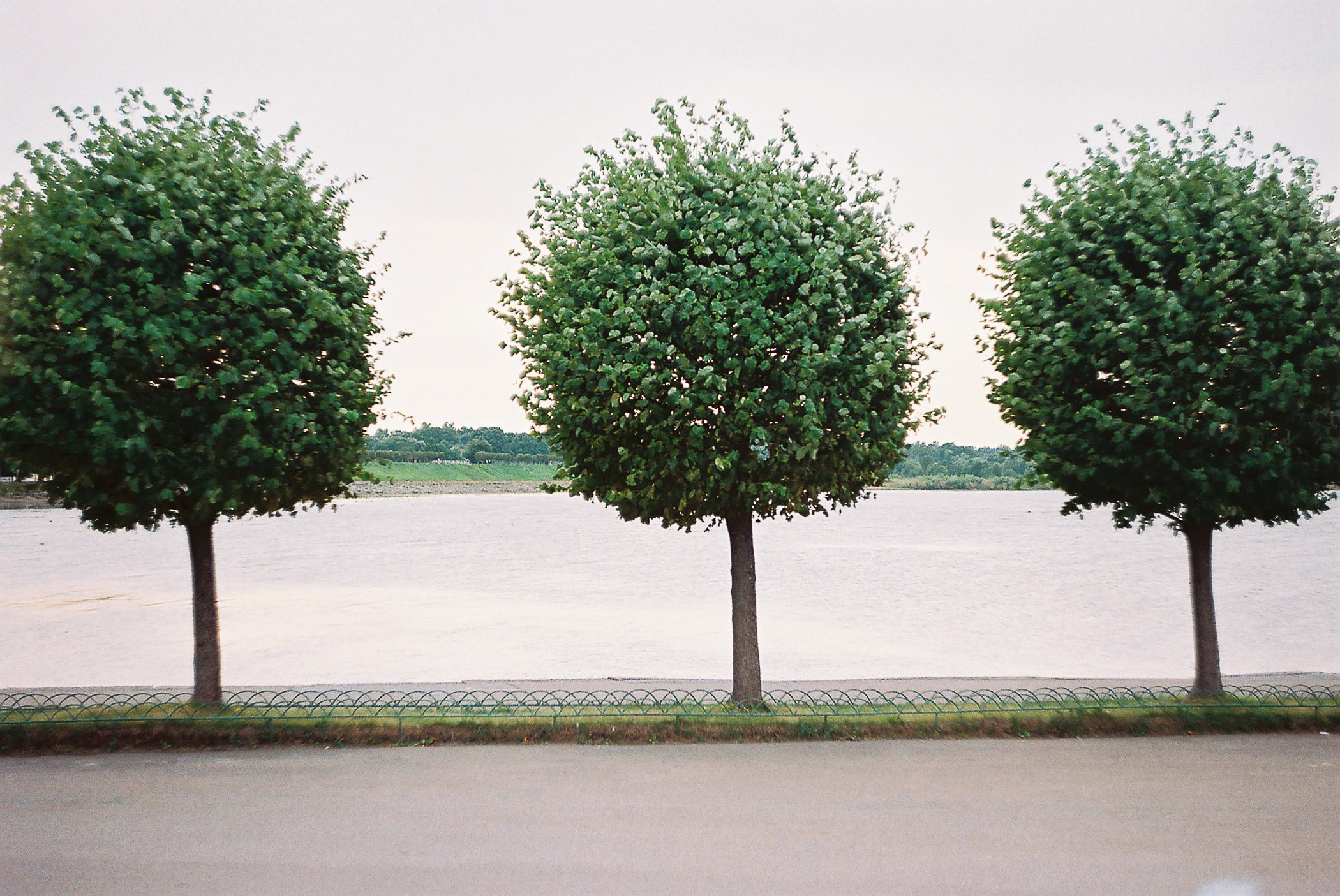 Плёнка. Фотограф Serg-Epic — Сергей Клепиков