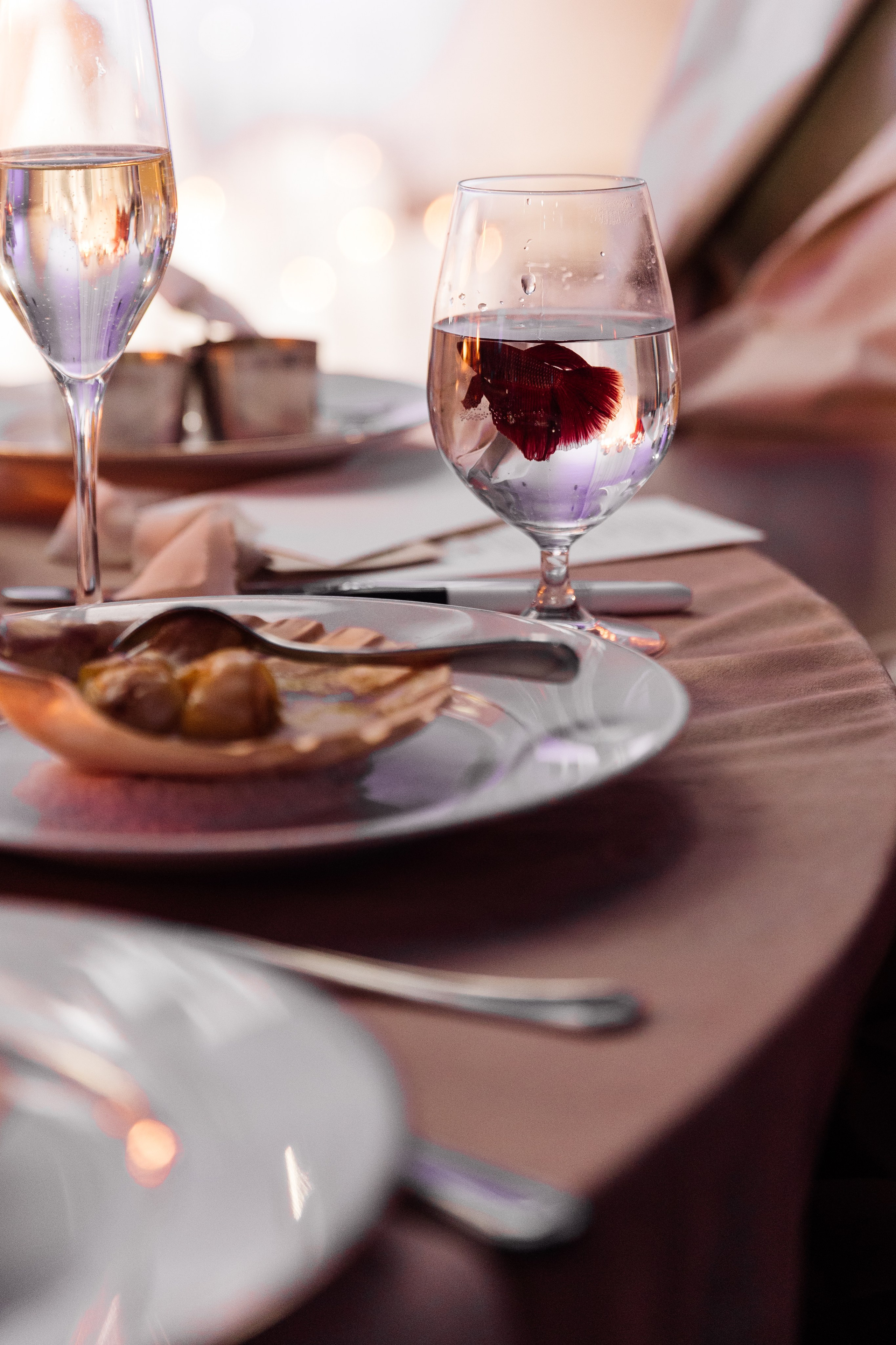 Среди 8 миллиардов. Свадебный фотограф Санкт-Петербург