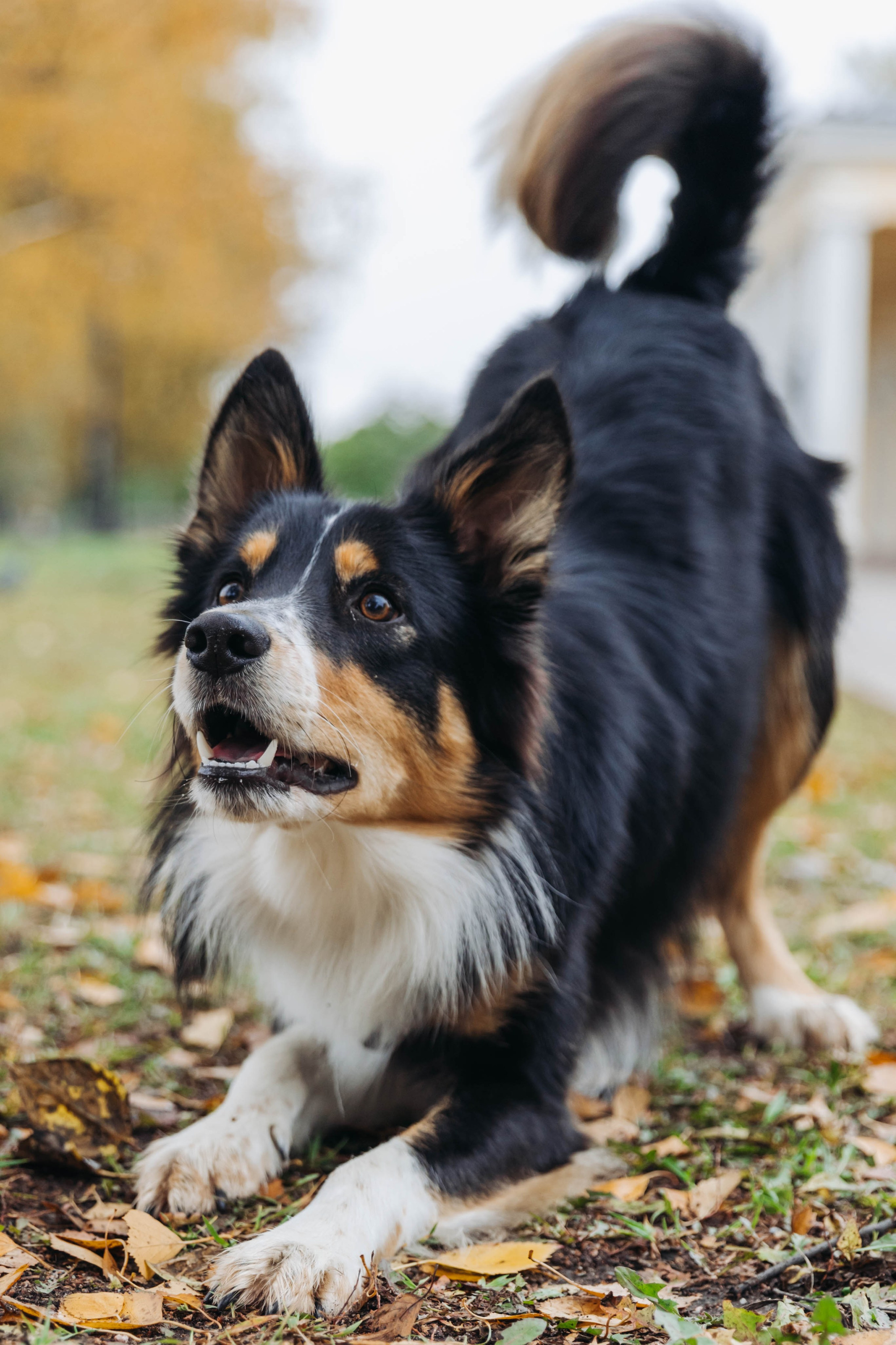 Вольт. Свадебный и семейный фотограф в Санкт-Петербурге Лолита Евстифеева