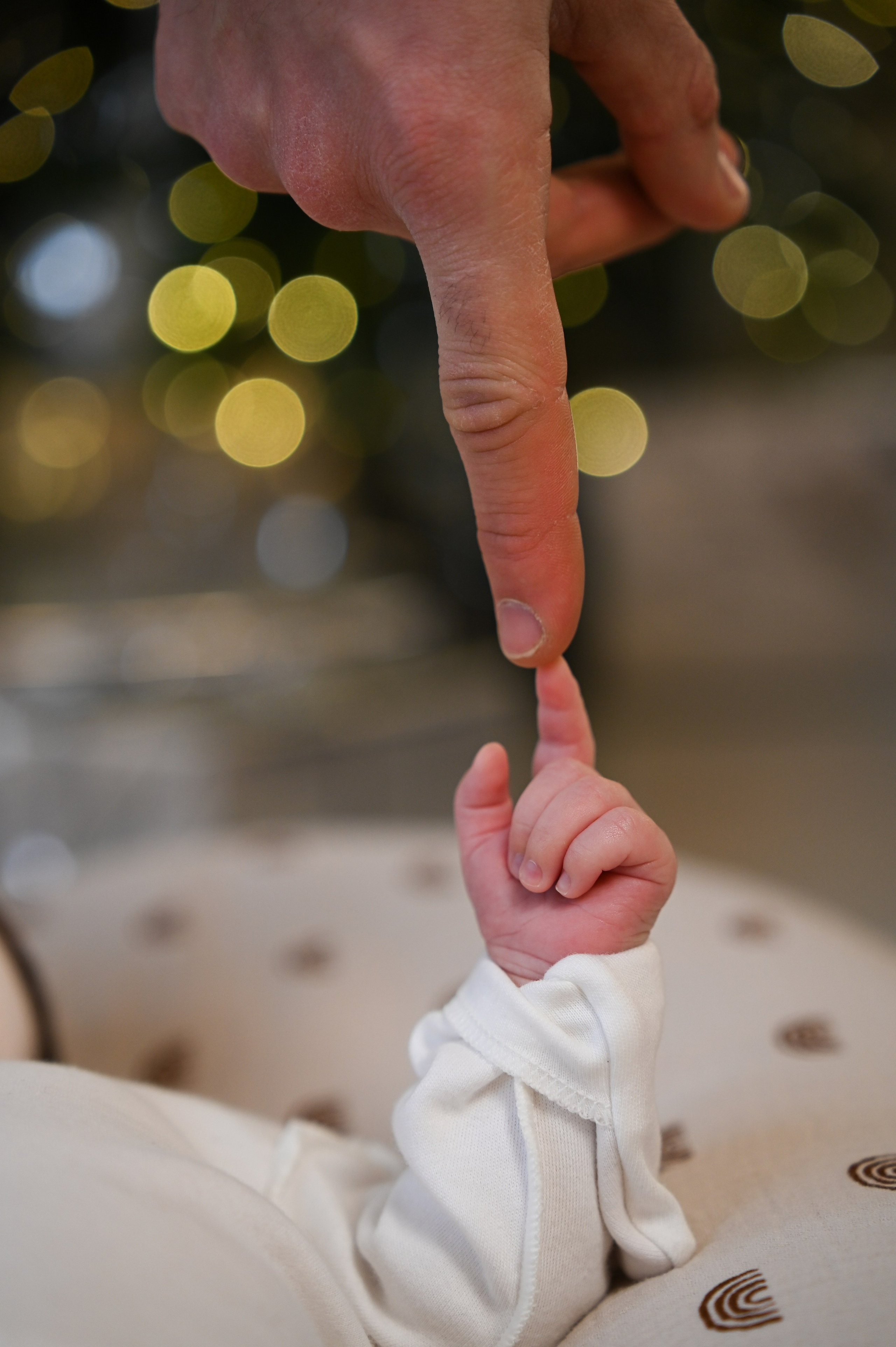 Новогодняя. Фотограф Ярута Оксана / Ростов-на-Дону