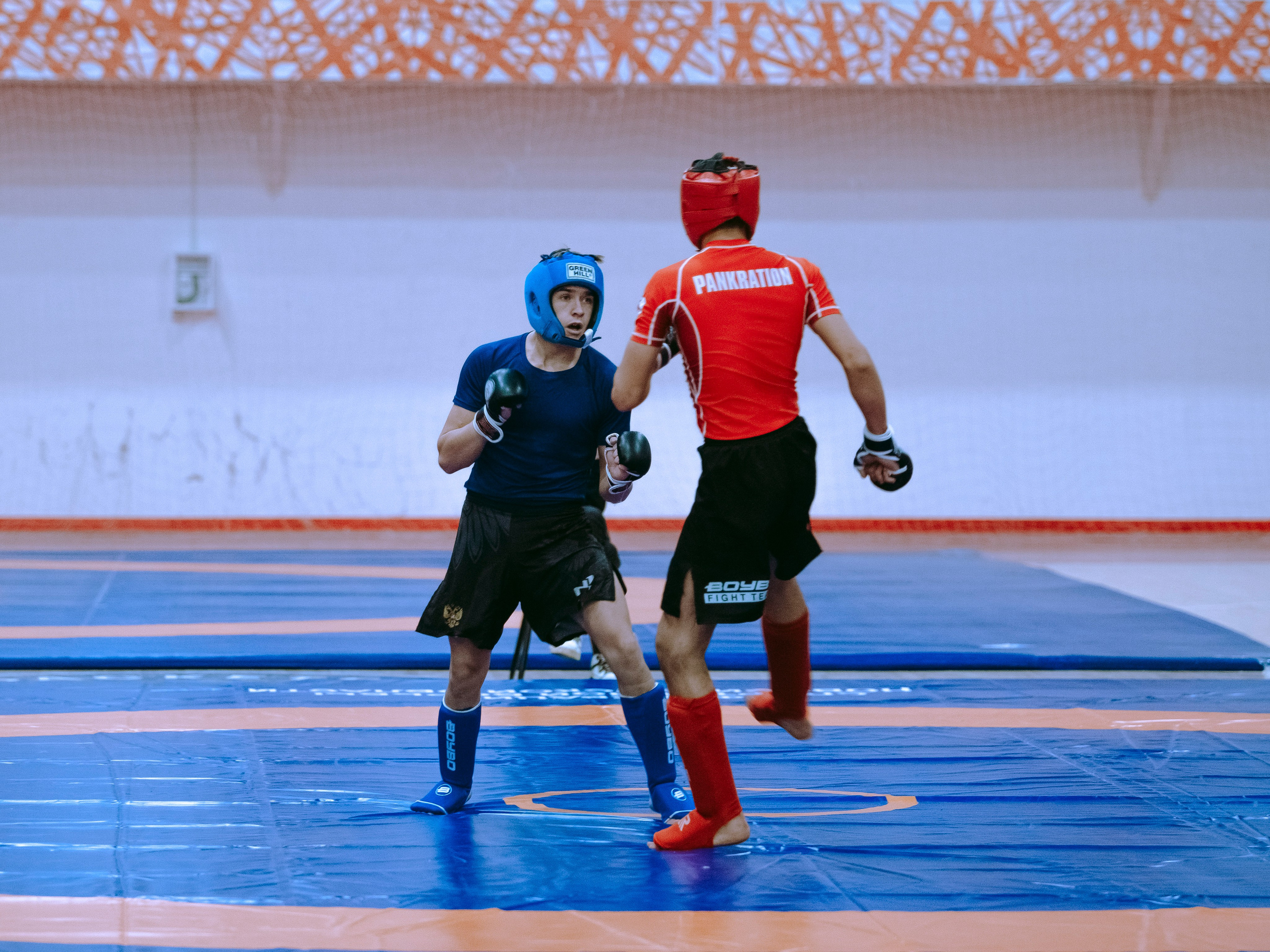 Кубок России по спортивной борьбе панкратион `23. Портретный фотограф в Москве Дарья Цезария