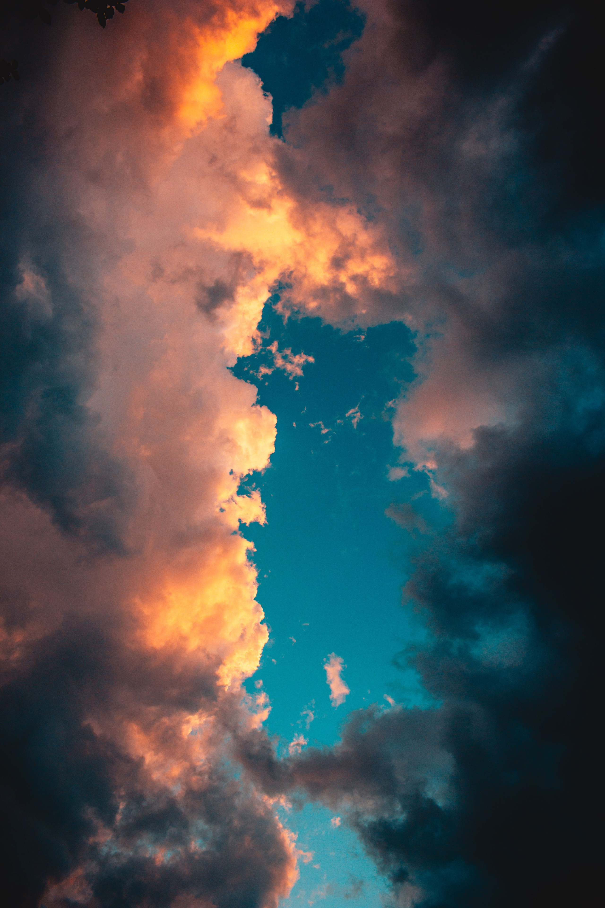 HEAVEN. Фотограф. Пейзажи, макро, портреты. Город Енакиево, без границ в съёмке
