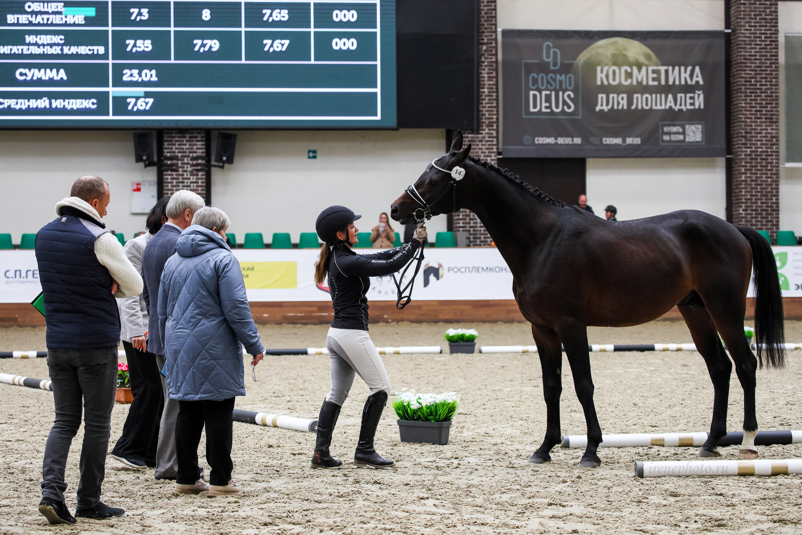 Конная Россия 2024. Irenephoto.ru