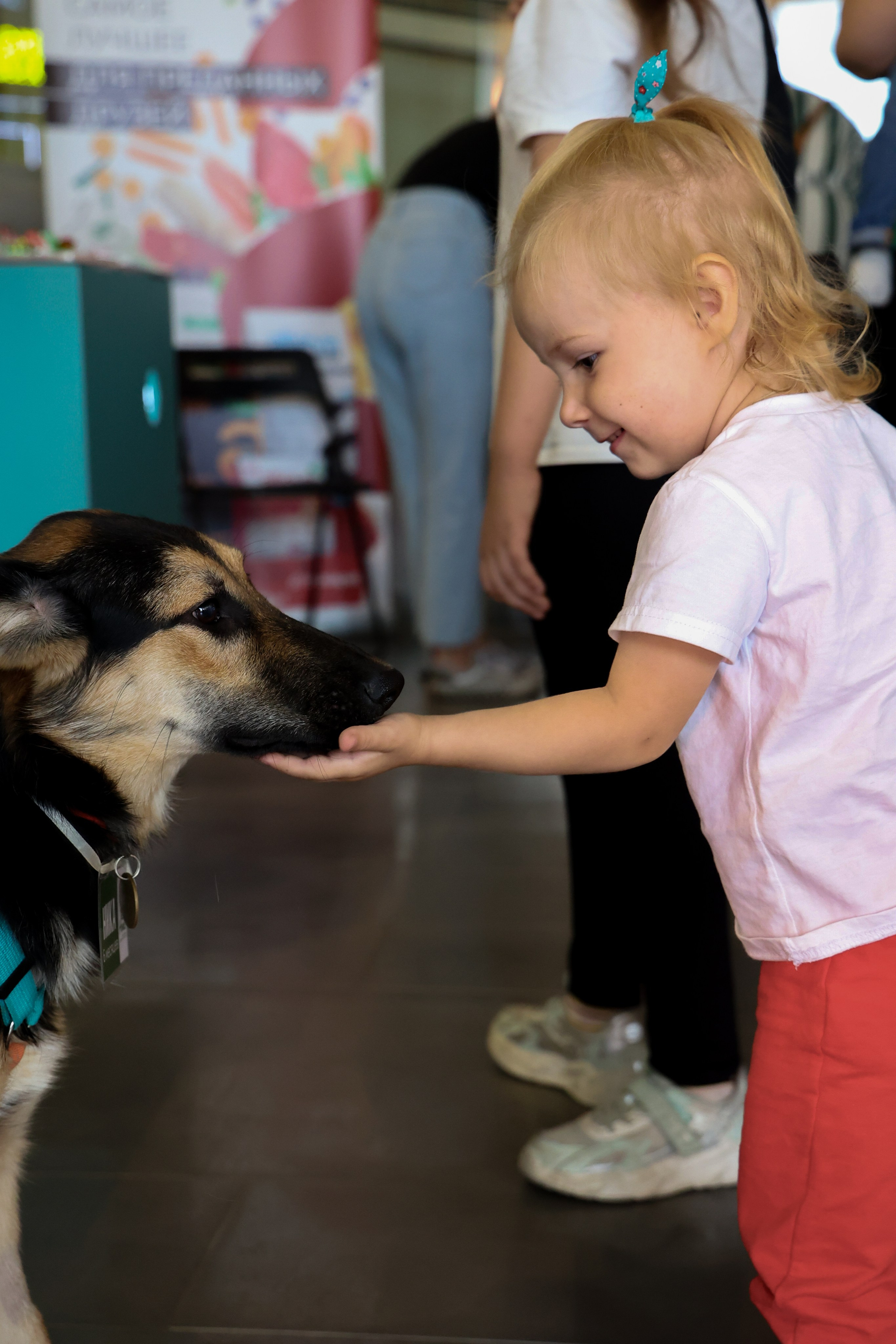 ECO FEST. Фотограф Вадим Бодылев