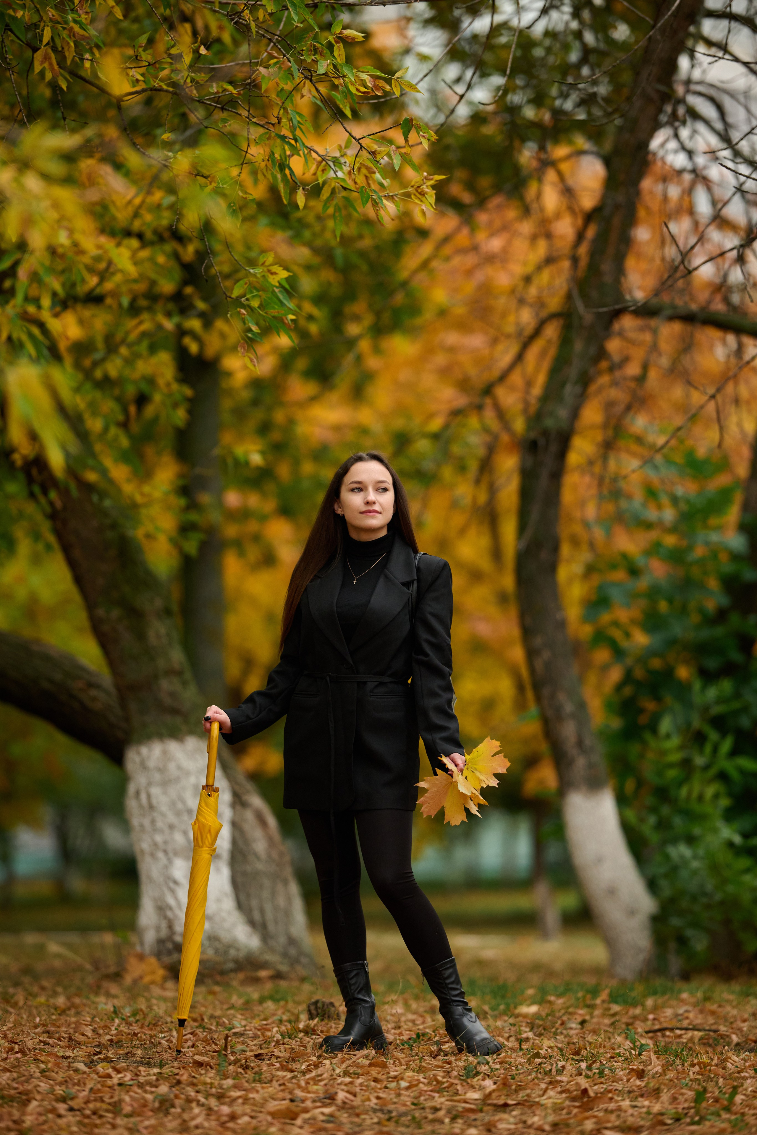 Золотая осень в Старом Осколе