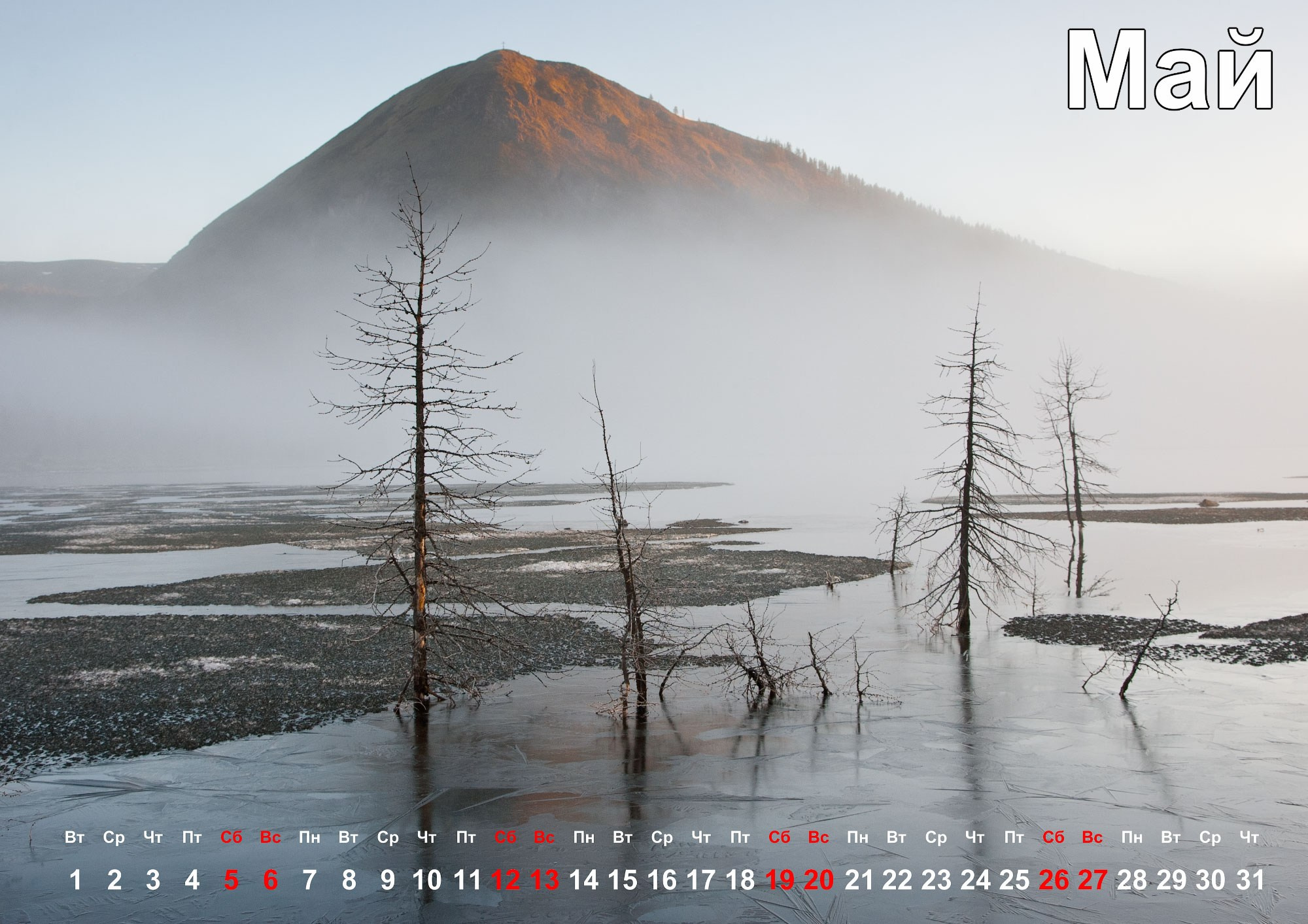 Свадебный фотограф в Геленджике