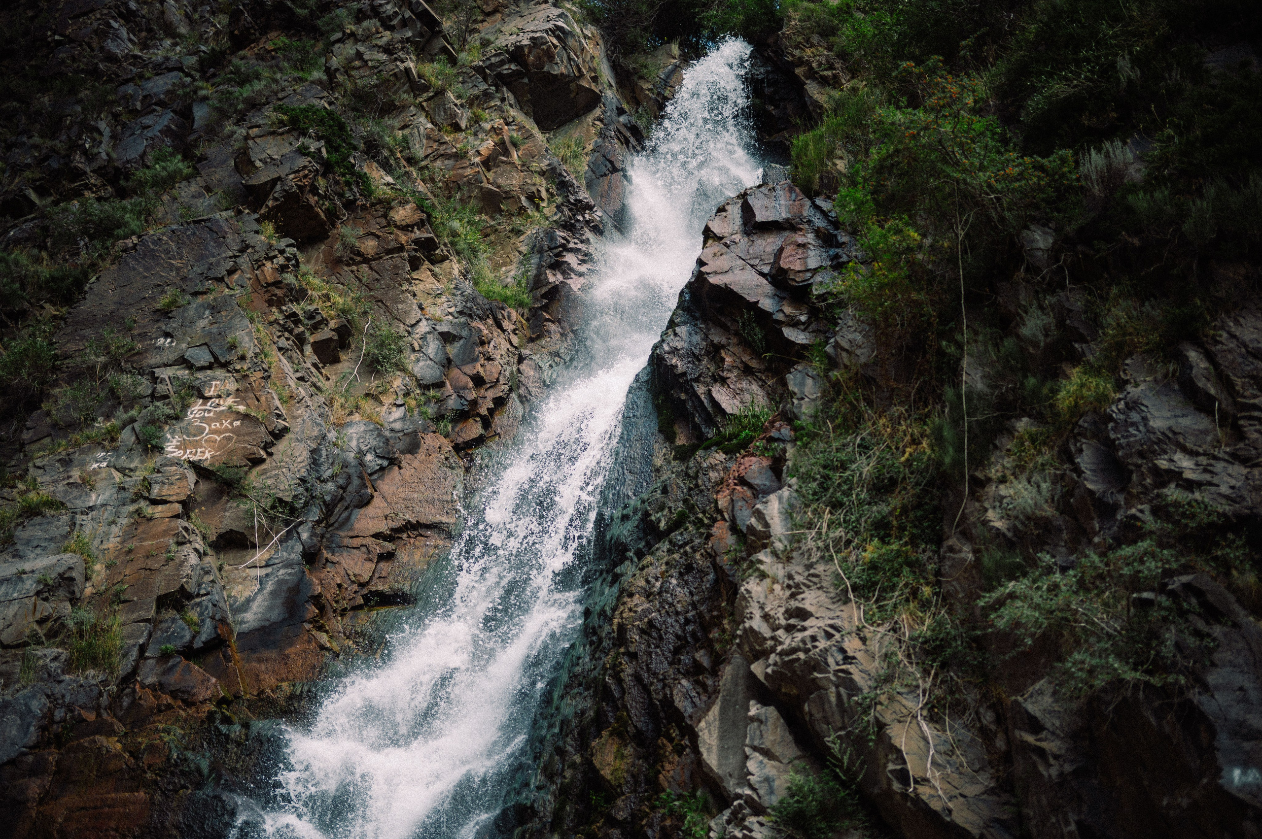 Плато Ассы: июль 2025. Фотограф в Алматы — Дарья Фёдорова
