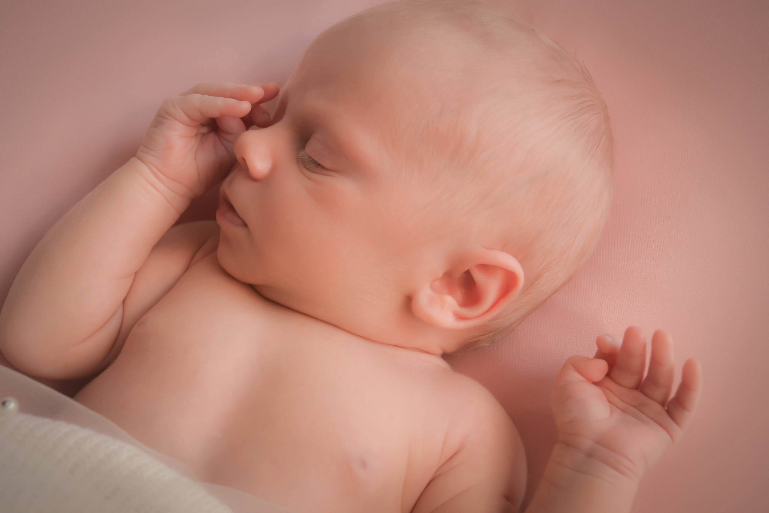 Newborn. Photograper Israel/фотограф Израиль. ALINA TARAN