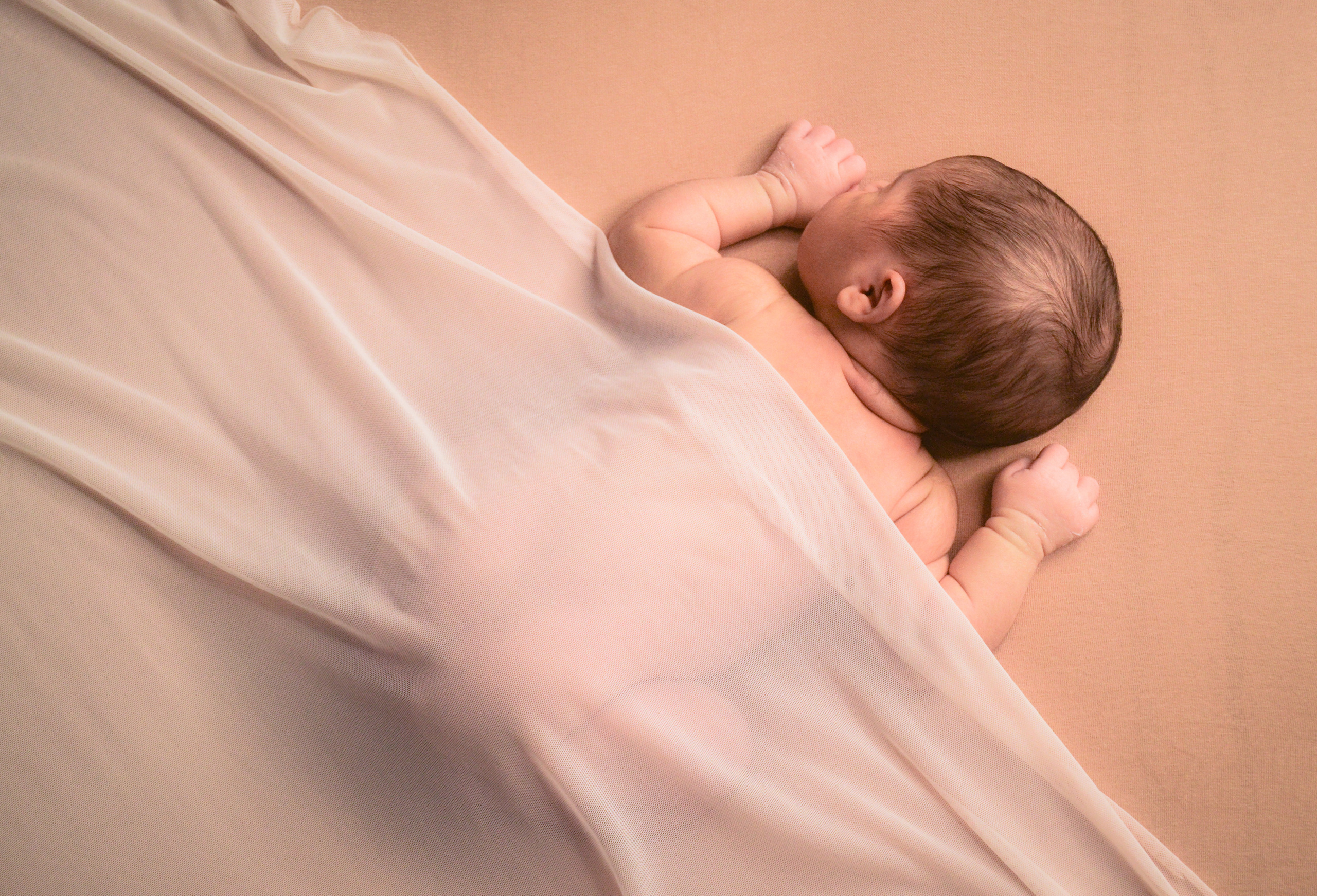 Newborn. Photograper Israel/фотограф Израиль. ALINA TARAN