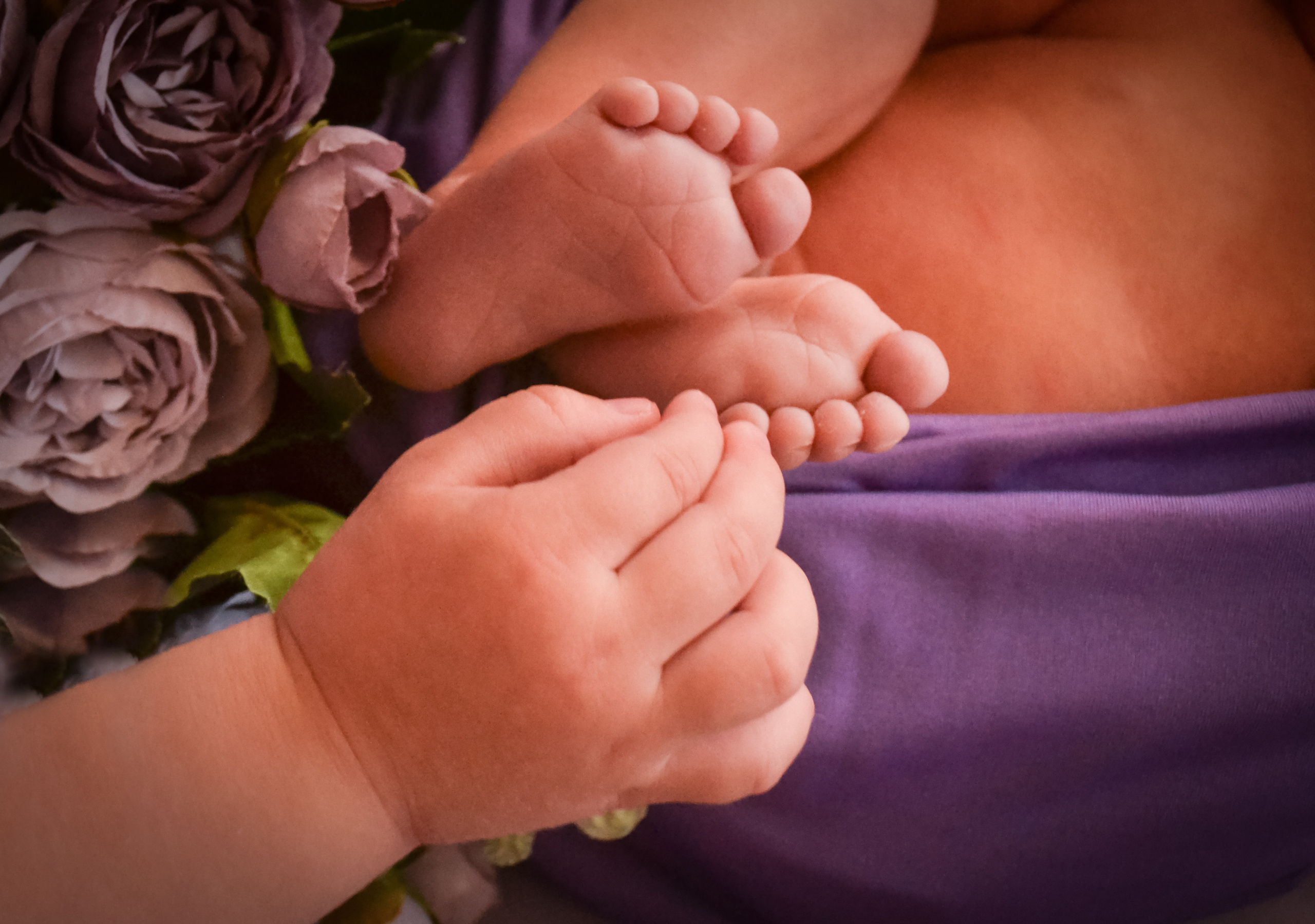 Newborn. Photograper Israel/фотограф Израиль. ALINA TARAN