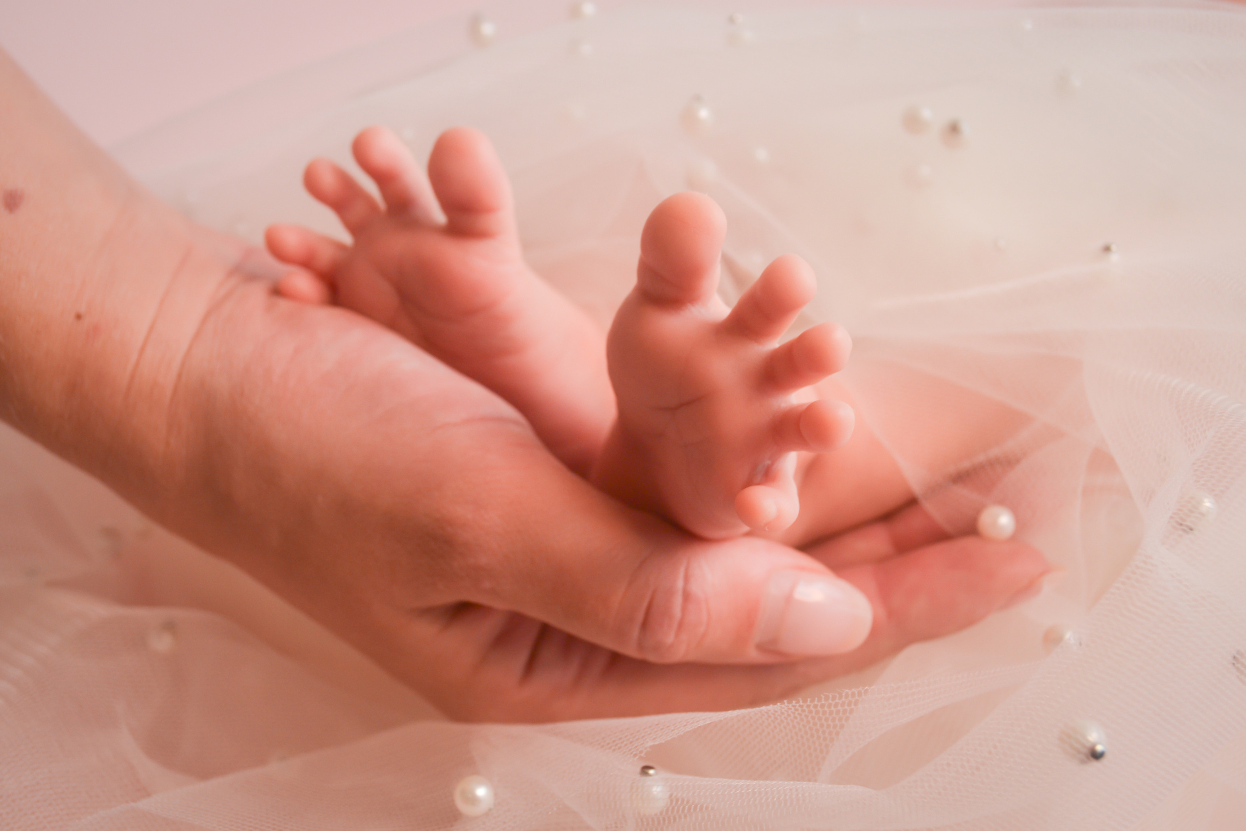 Newborn. Photograper Israel/фотограф Израиль. ALINA TARAN