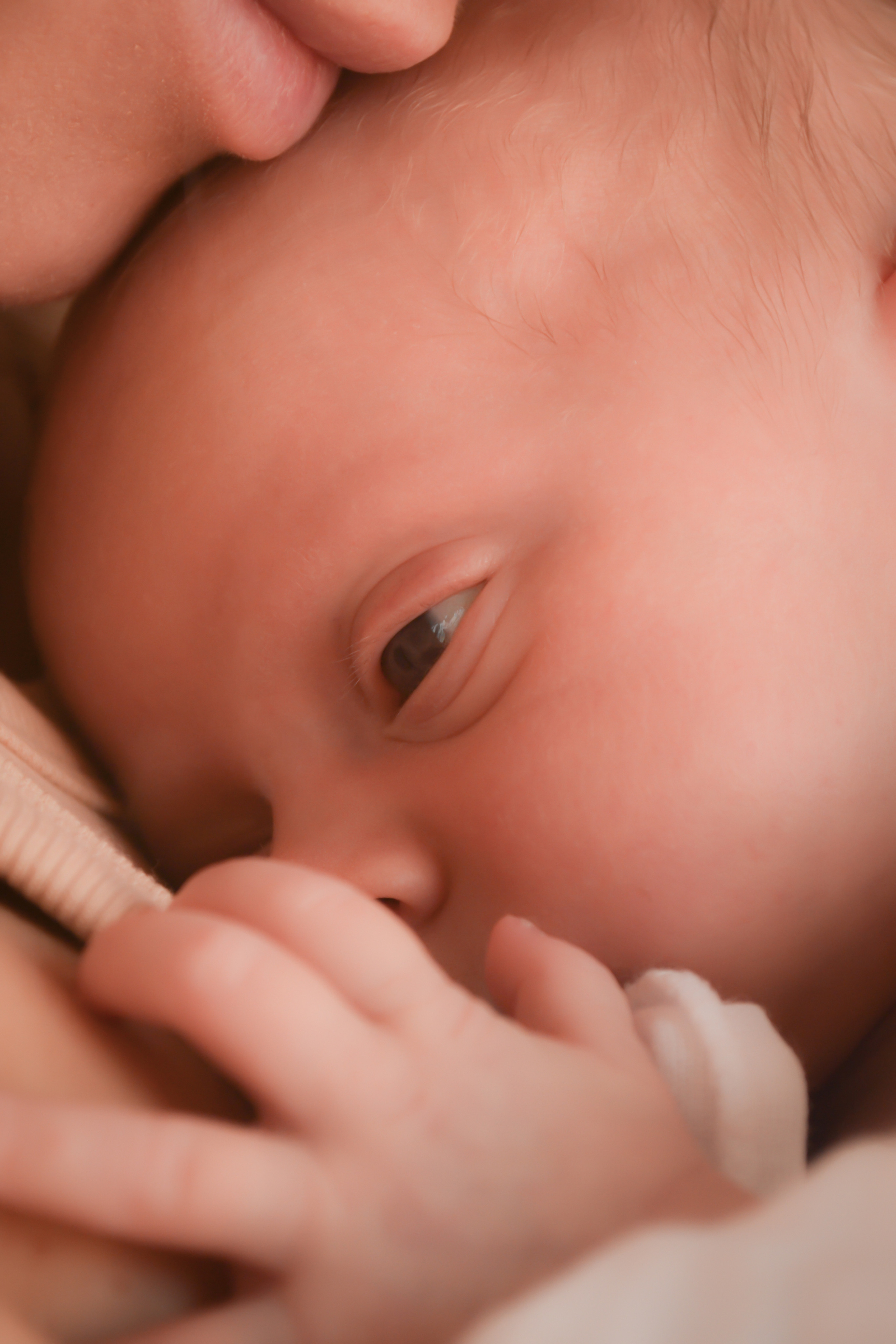 Newborn. Photograper Israel/фотограф Израиль. ALINA TARAN