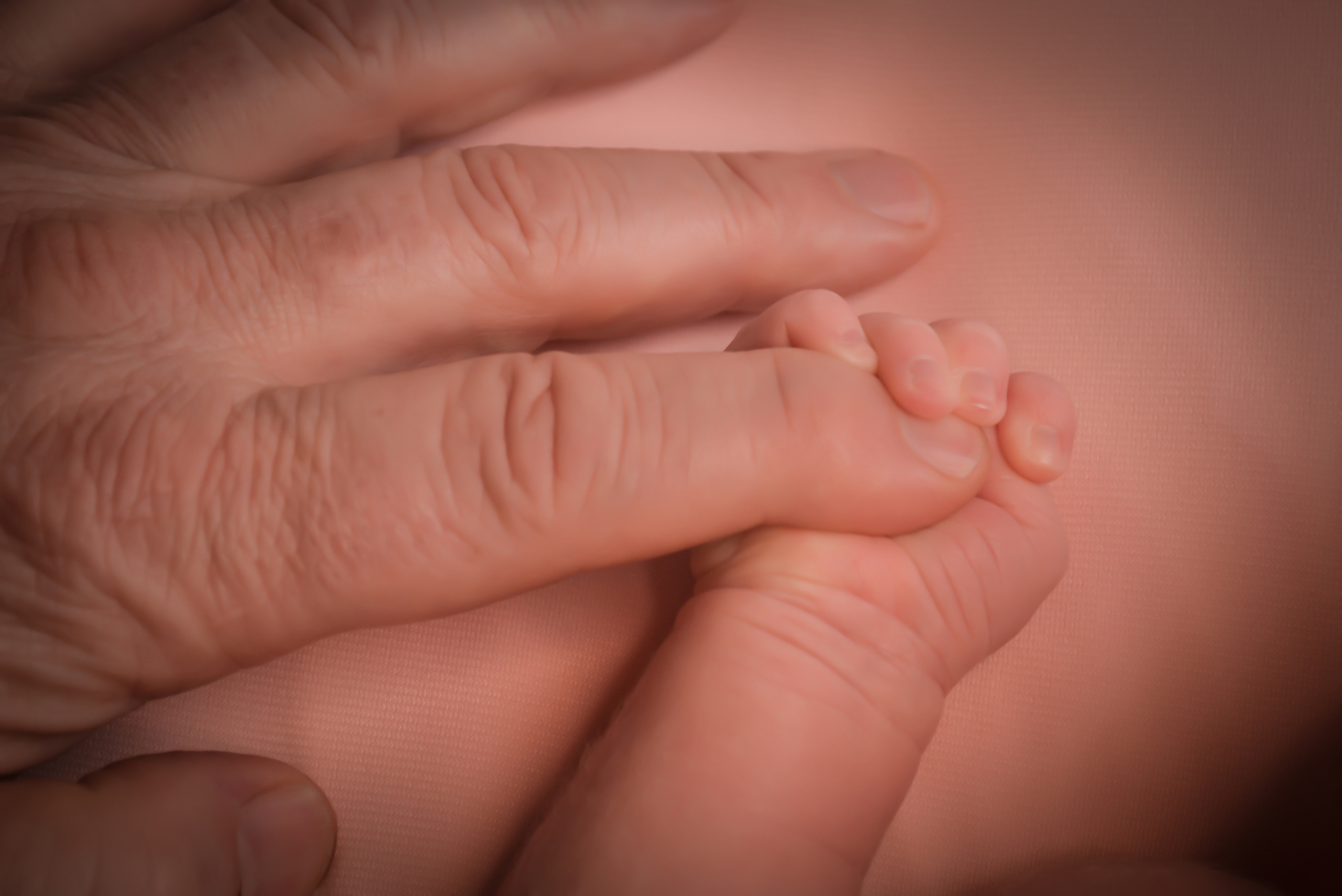 Newborn. Photograper Israel/фотограф Израиль. ALINA TARAN