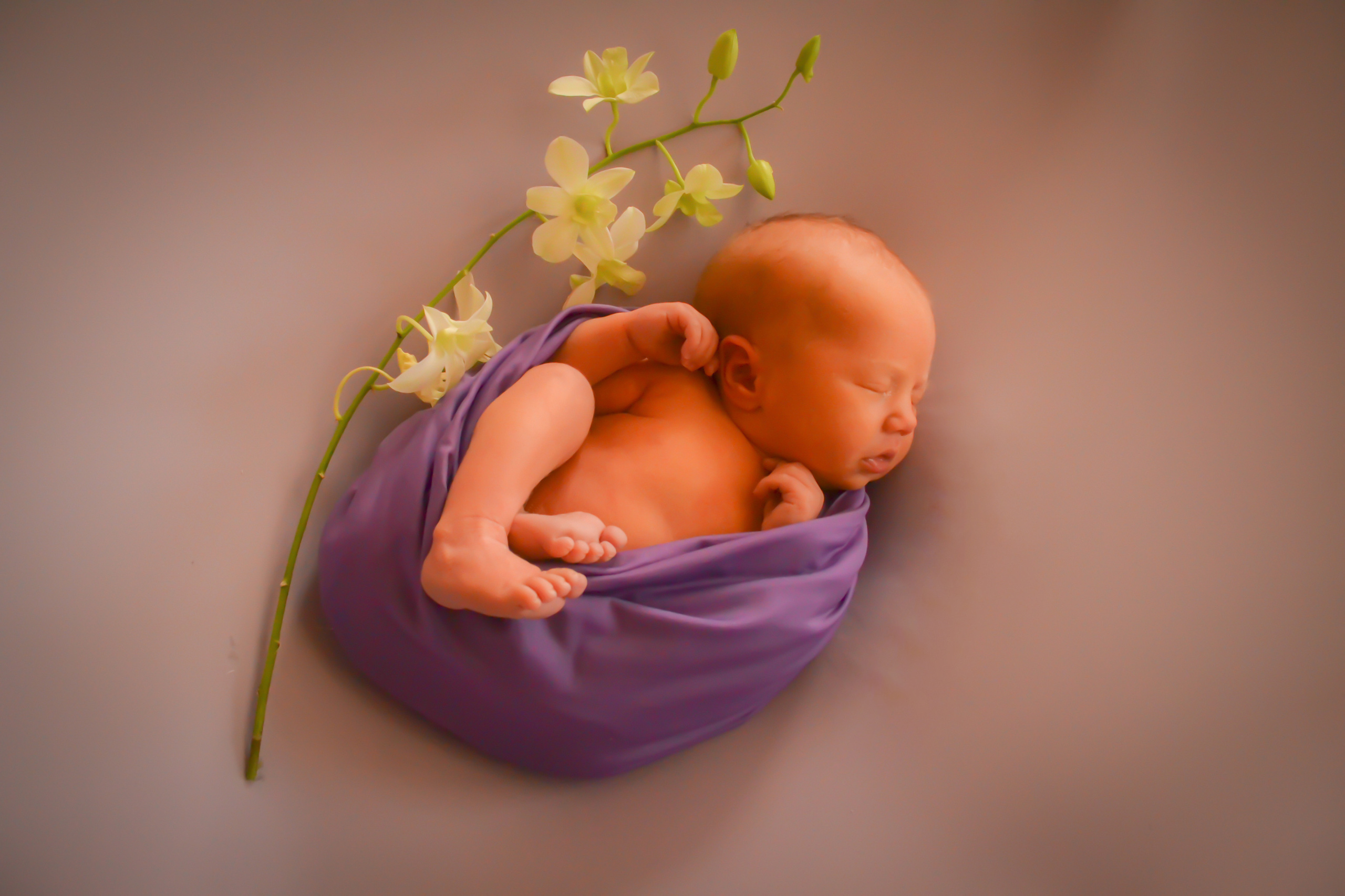 Newborn. Photograper Israel/фотограф Израиль. ALINA TARAN