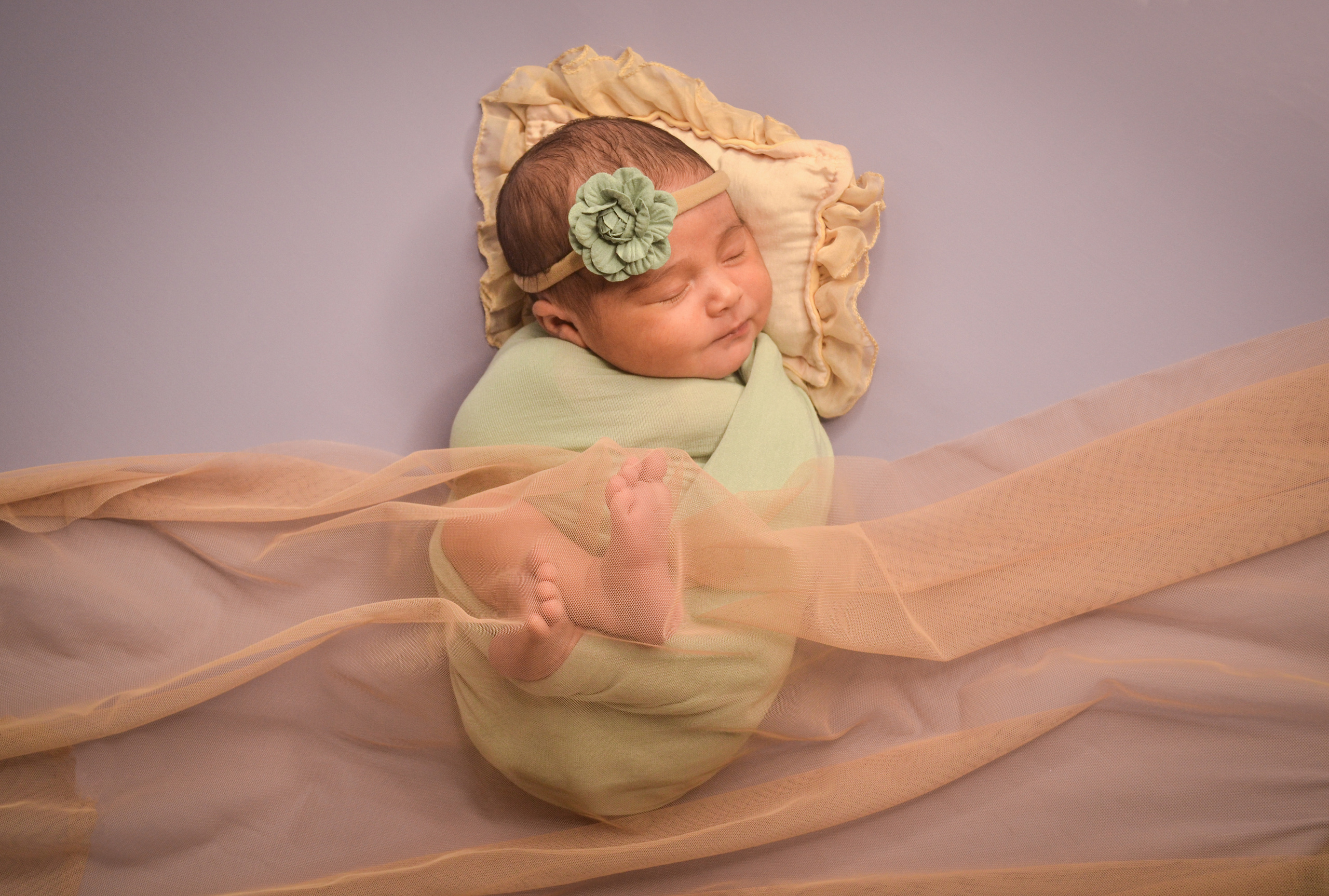 Newborn. Photograper Israel/фотограф Израиль. ALINA TARAN