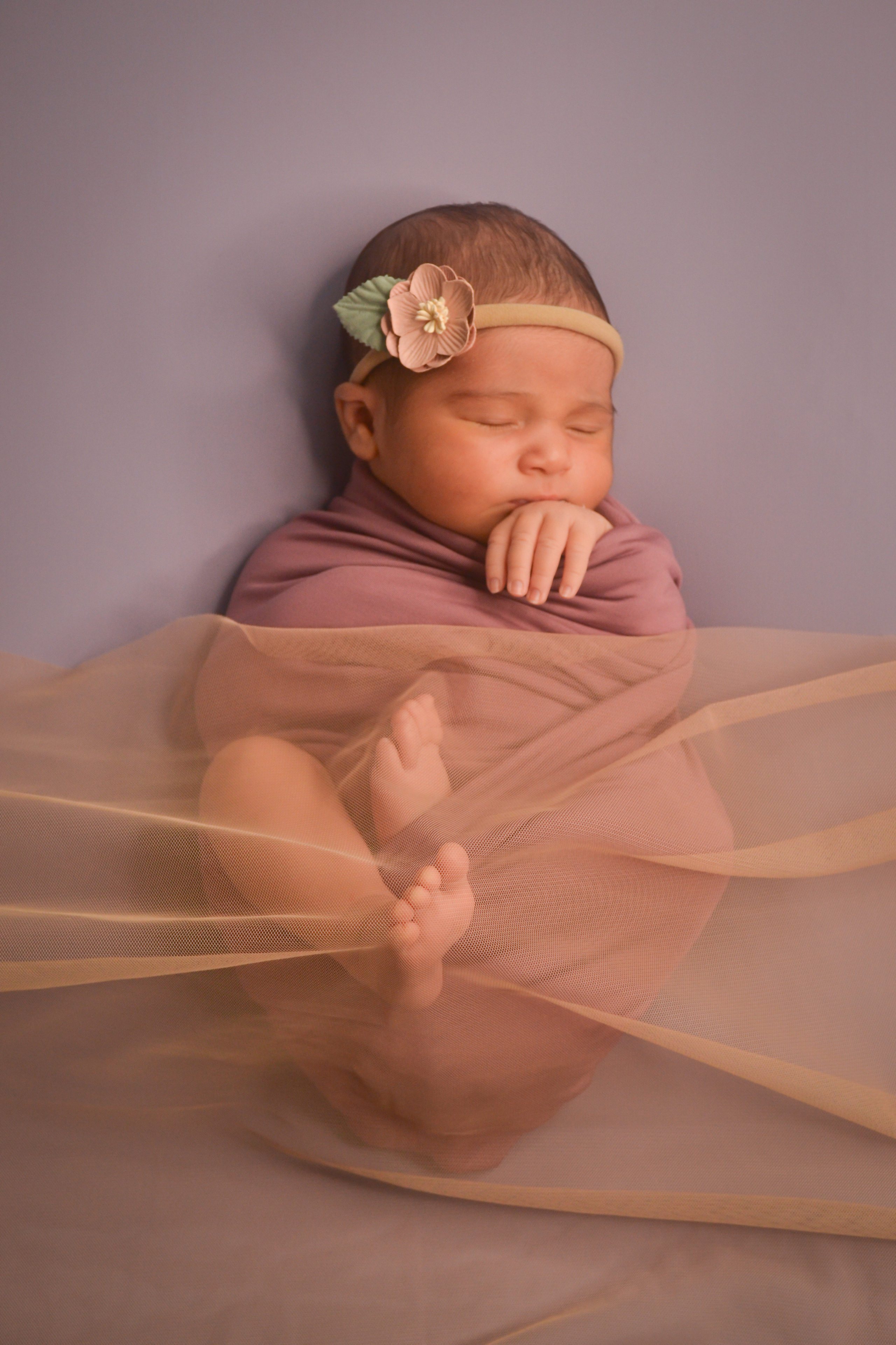 Newborn. Photograper Israel/фотограф Израиль. ALINA TARAN