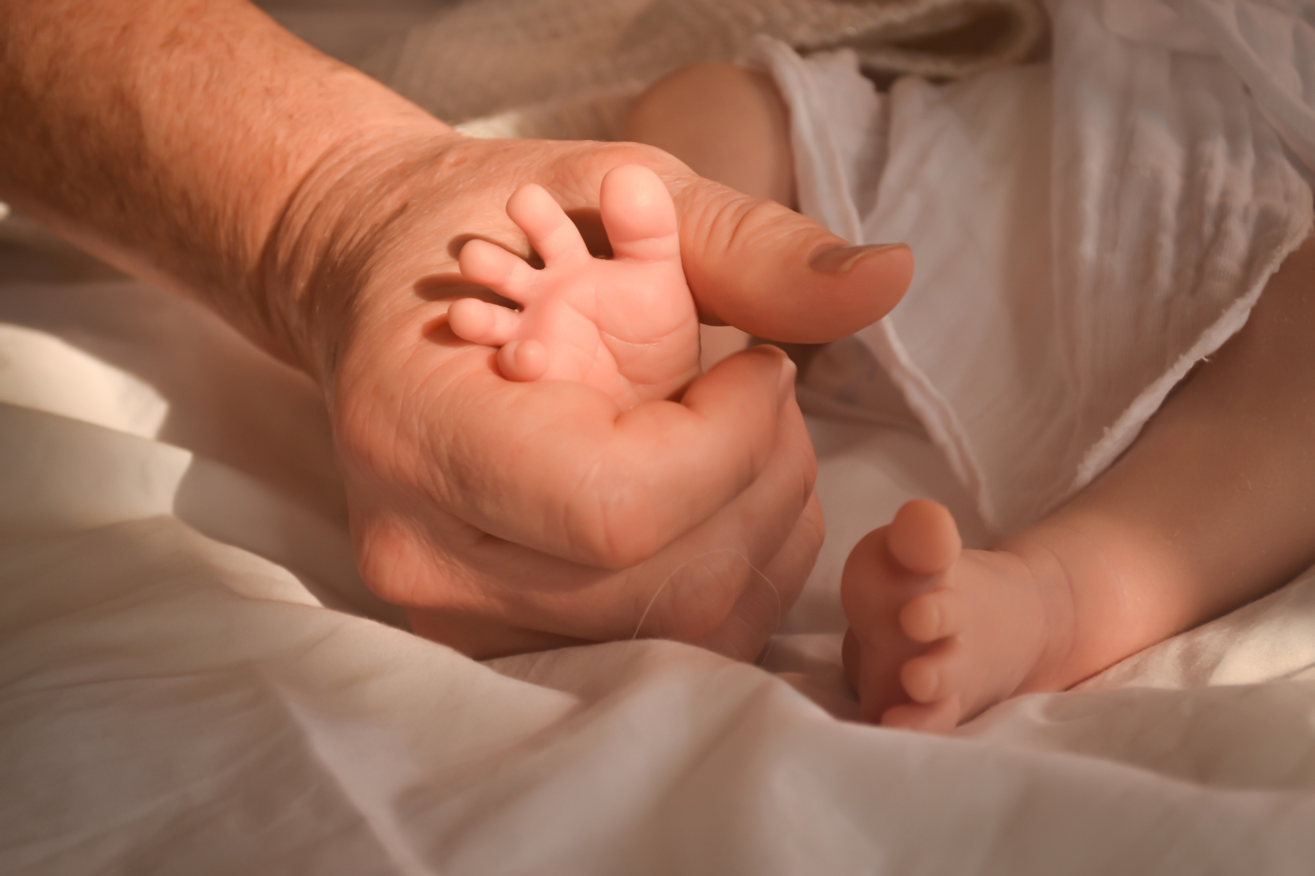 Newborn. Photograper Israel/фотограф Израиль. ALINA TARAN