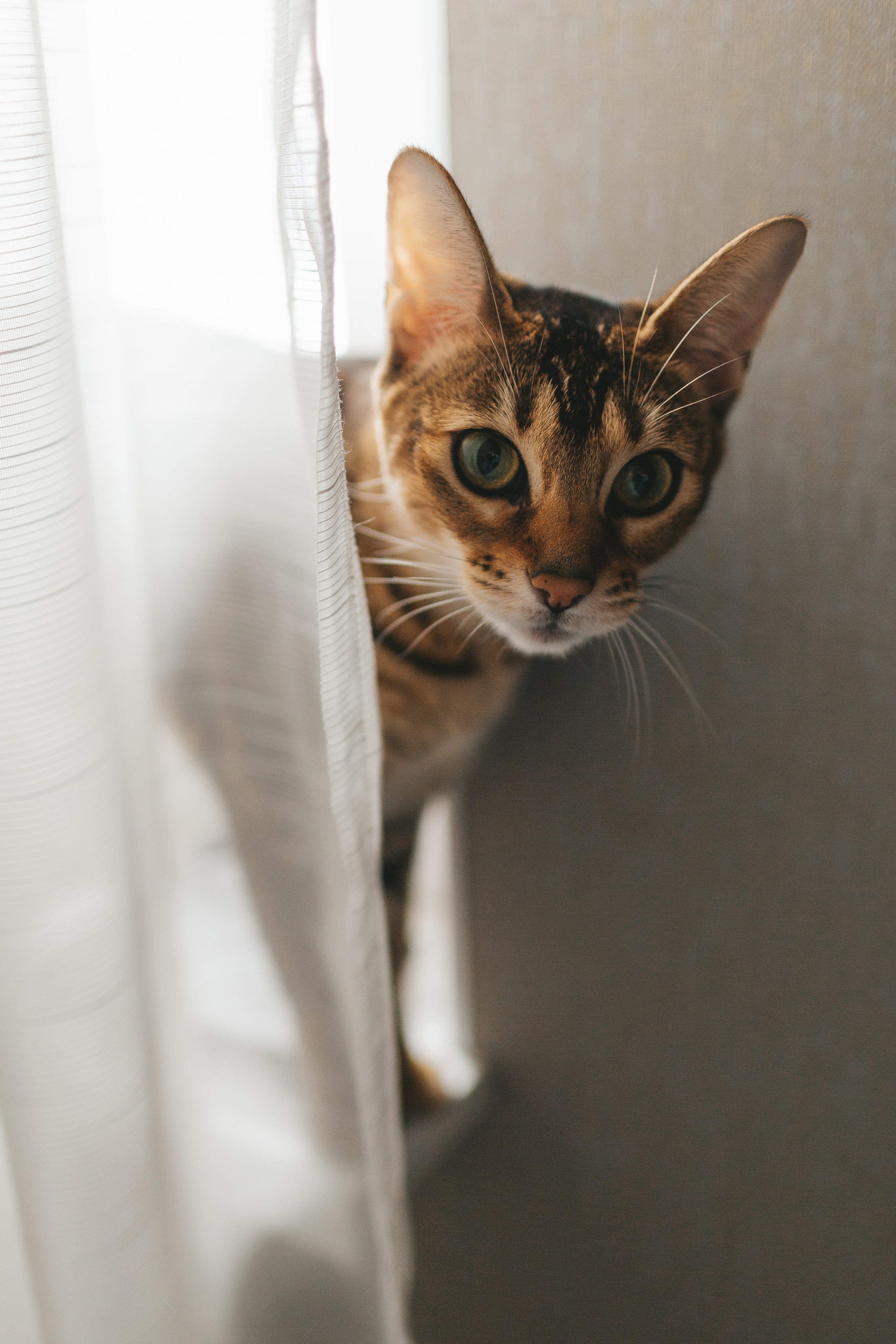 Женя, Юля и Вероника (домашняя фотосессия). Семейный и детский фотограф и видеограф в Москве, Дрокина Наталья