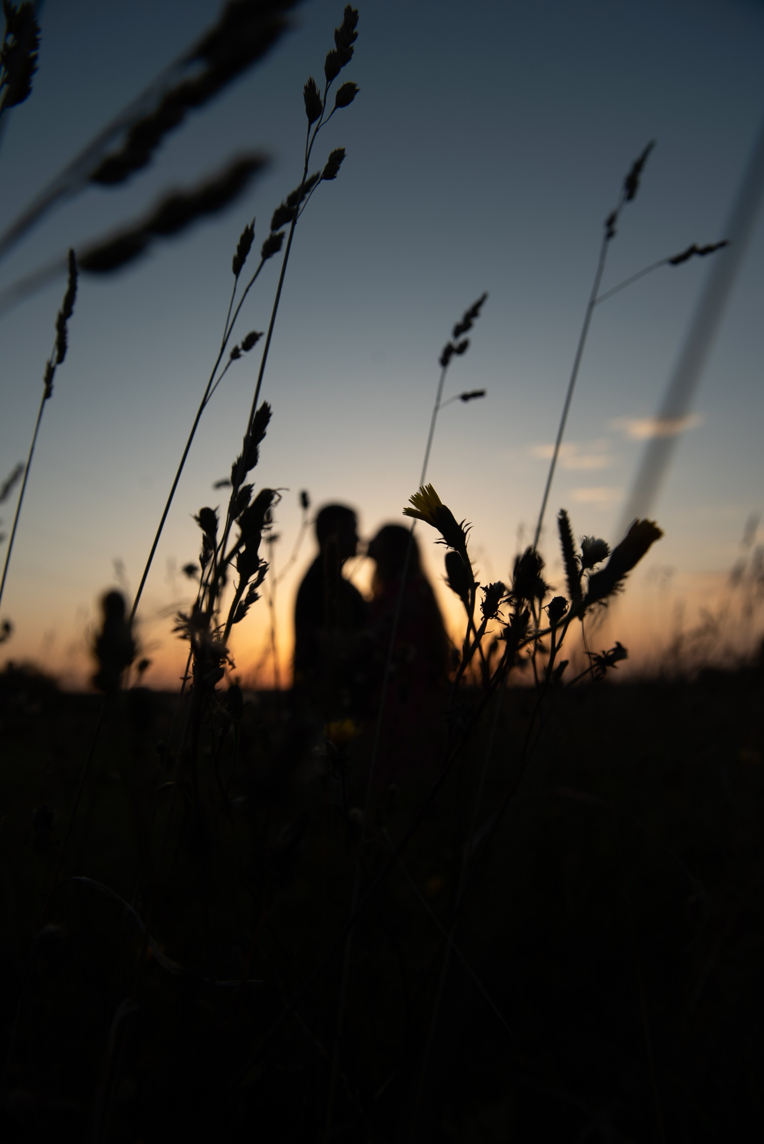 Love story. Фотограф для маркет плэйсов и портретный фотограф Балакирев Дмитрий москва