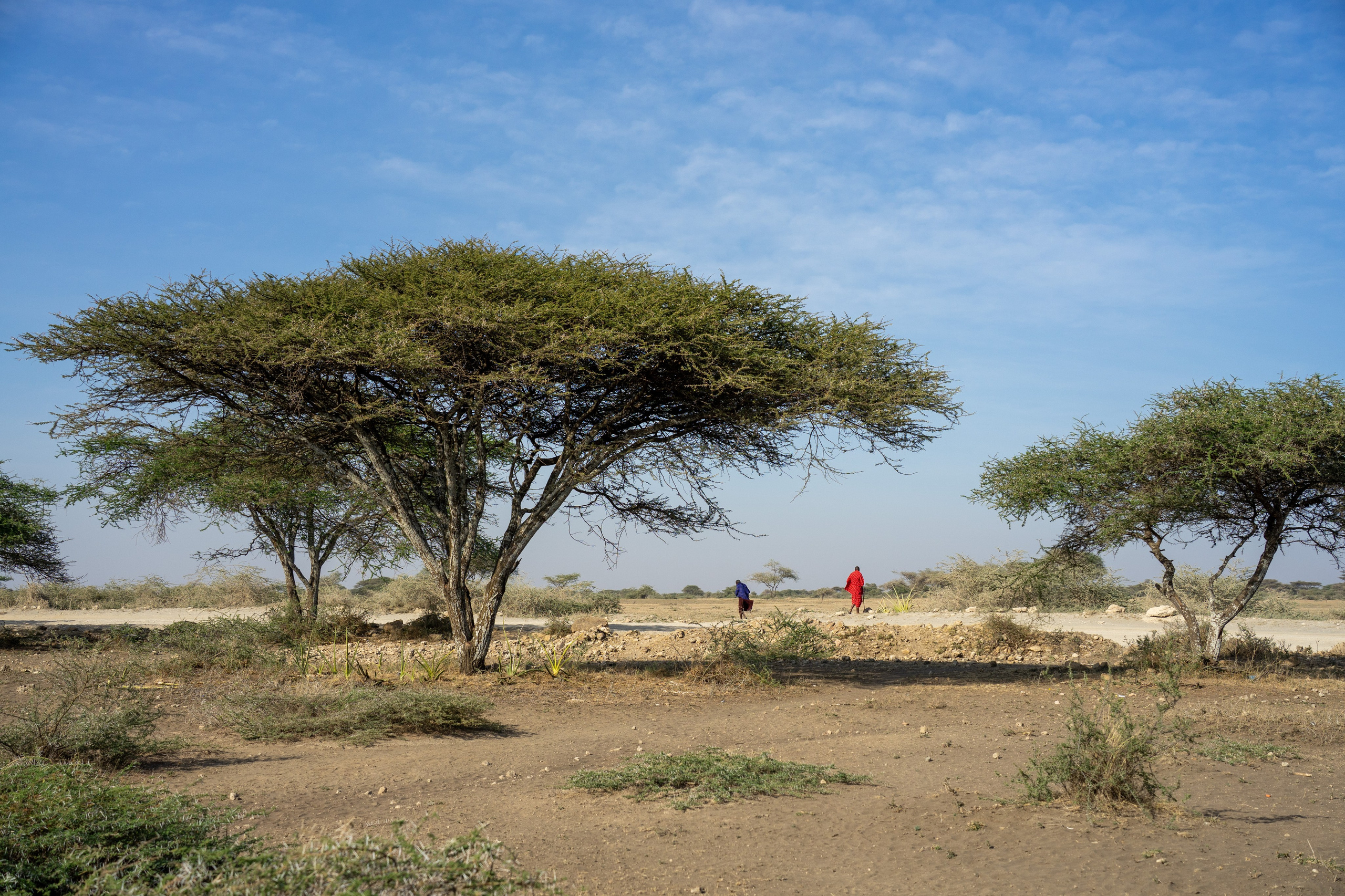 Танзания, сафари, 2025. Творческие сьемки