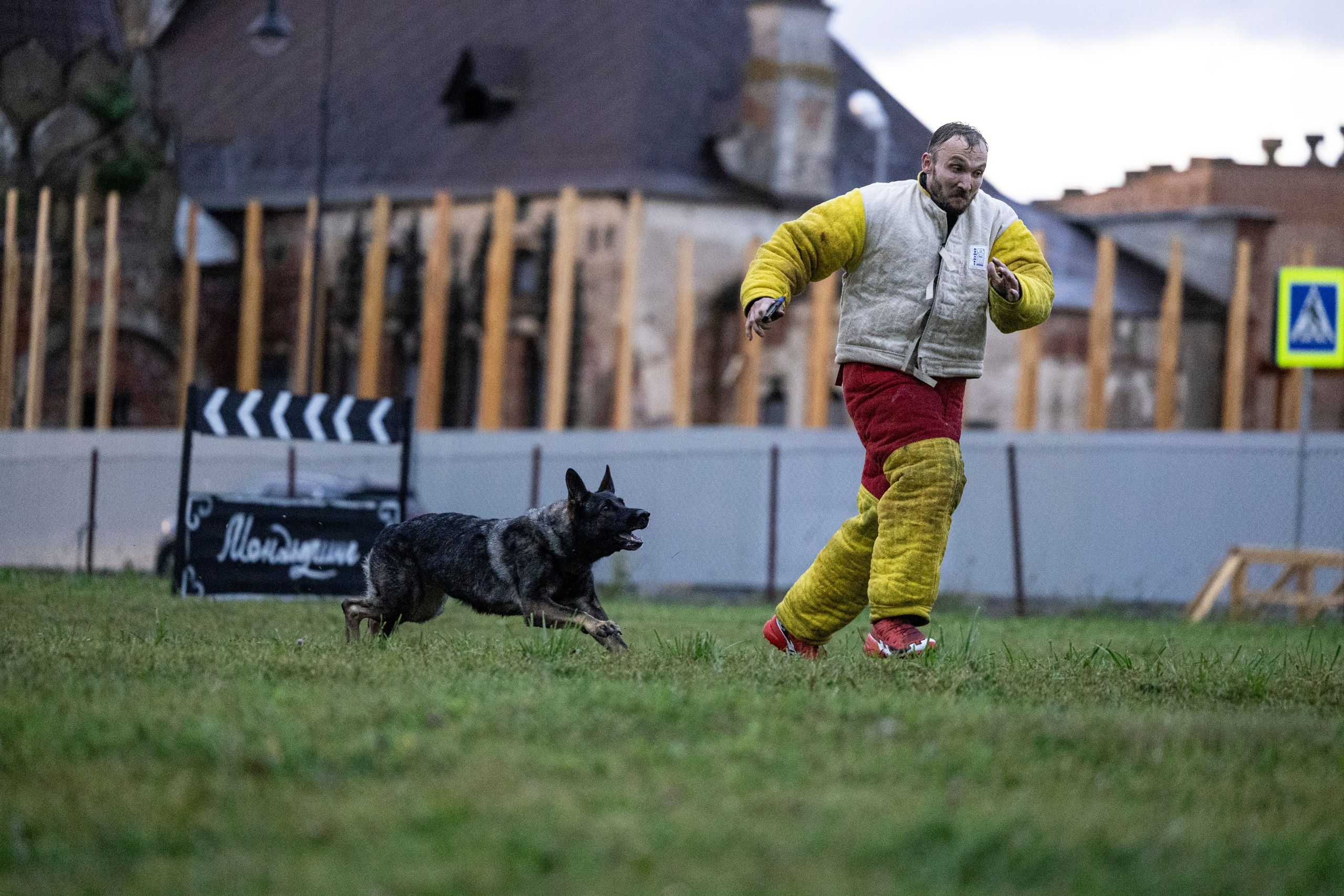 Испытания по Мондьорингу г. Пушкин. Фотограф-анималист Анна Маринич