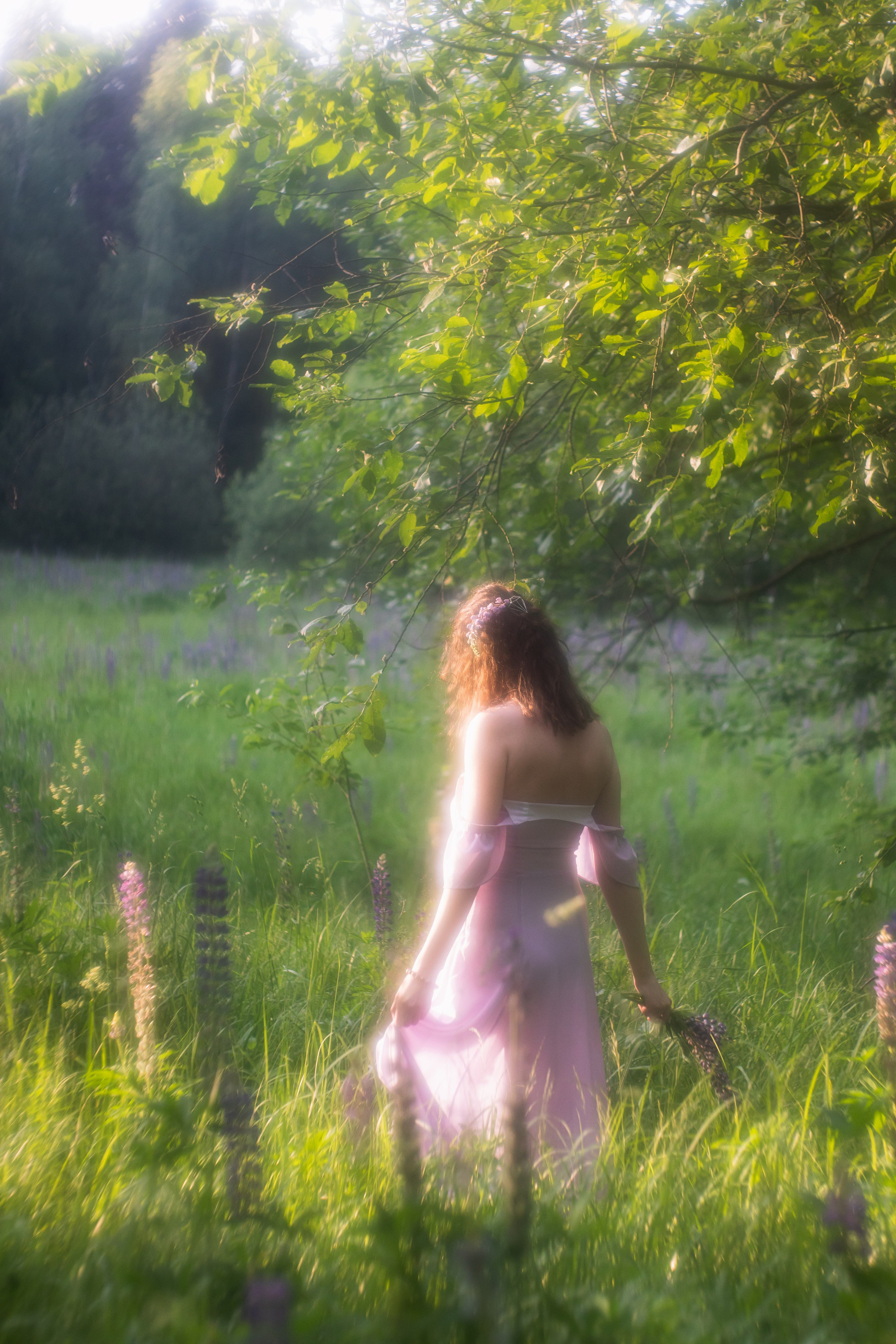 Люпиновое поле. Юлия Башкатова, сказочный фотограф, Москва