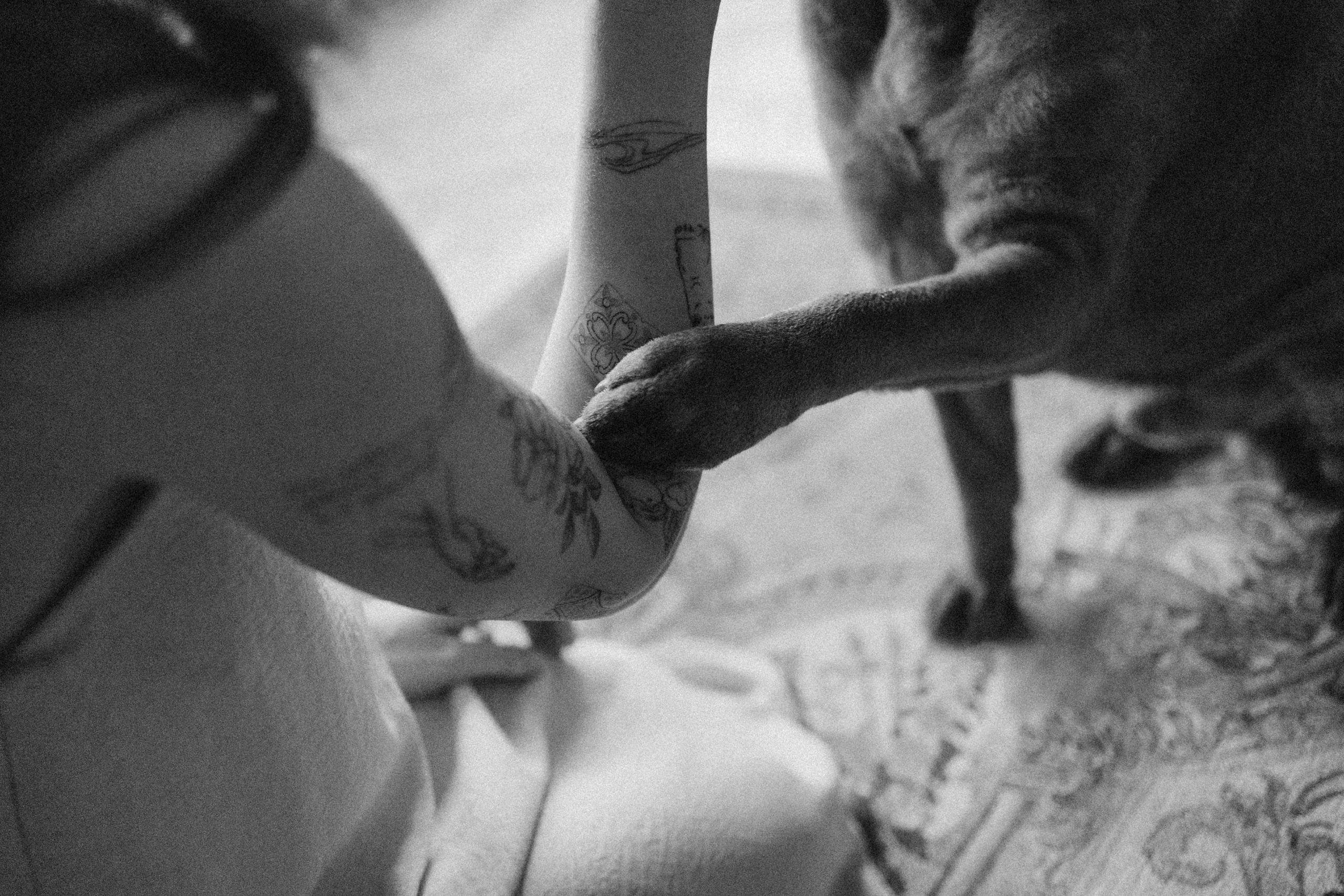 Ульяна и Вагнер. Фотограф — Анималист | Санкт-Петербург