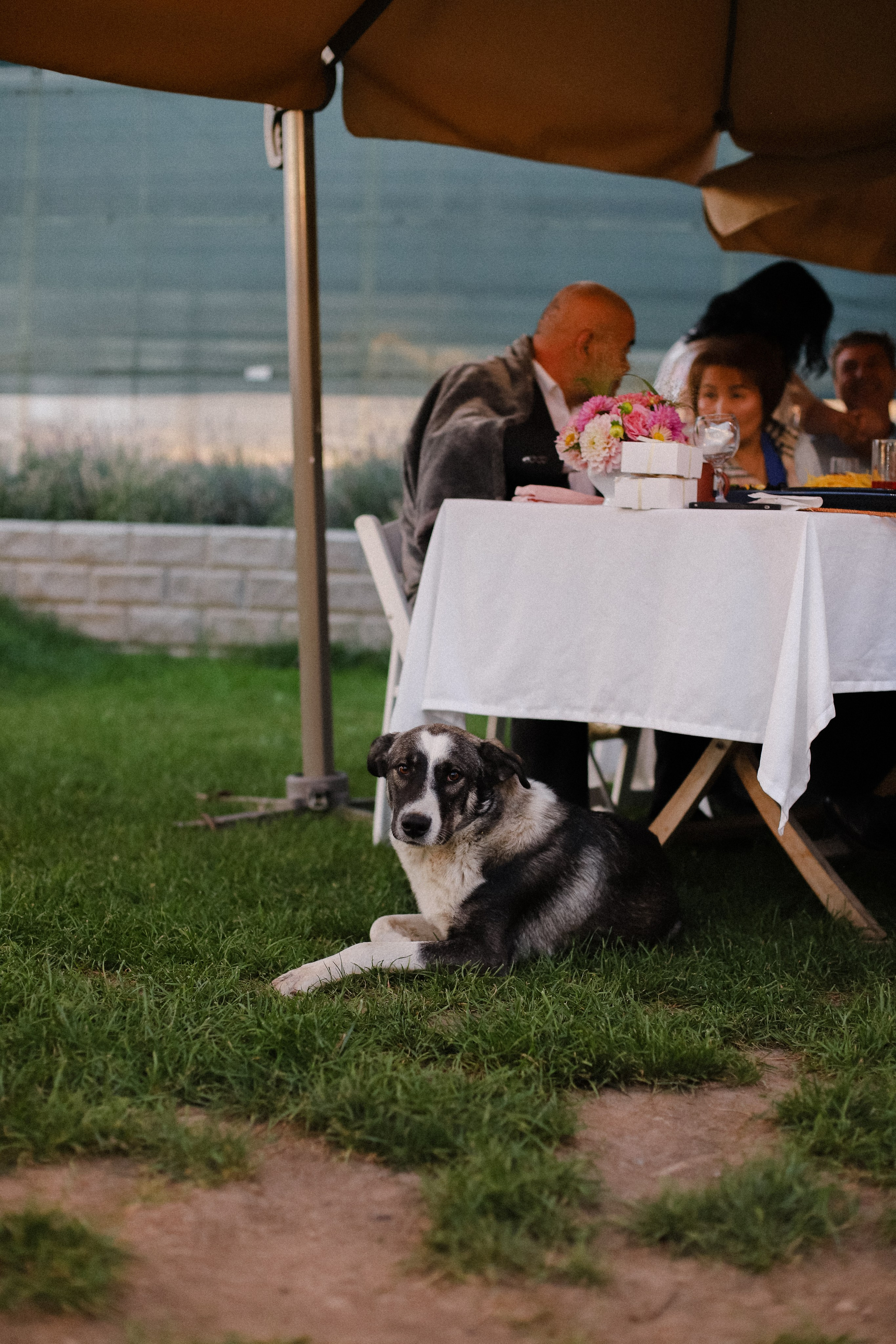Рустам и Елизавета. Фотограф в Алматы и Москве Даша Пушкина