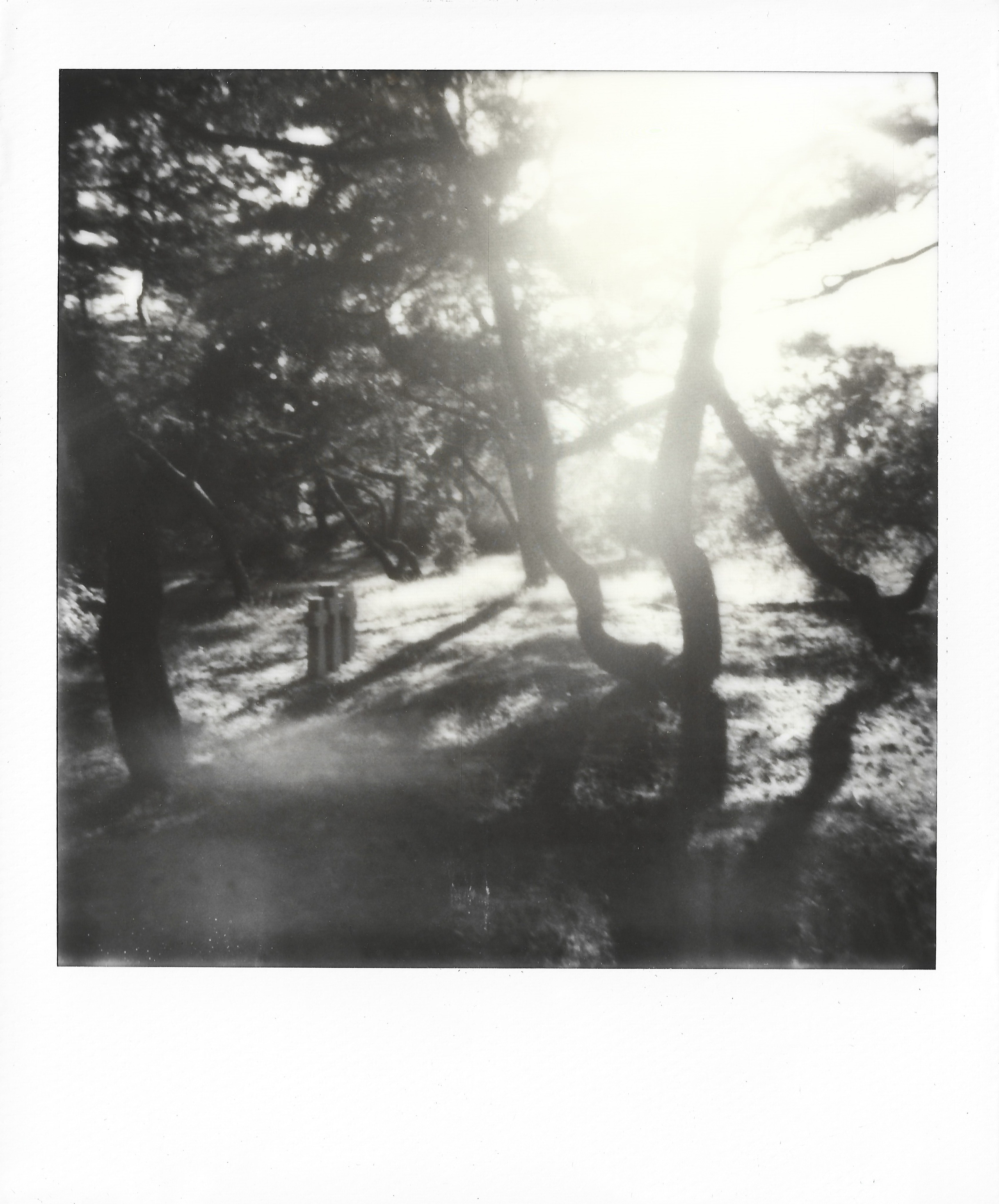 Photo Portfolio. Morskyakanulavmorya