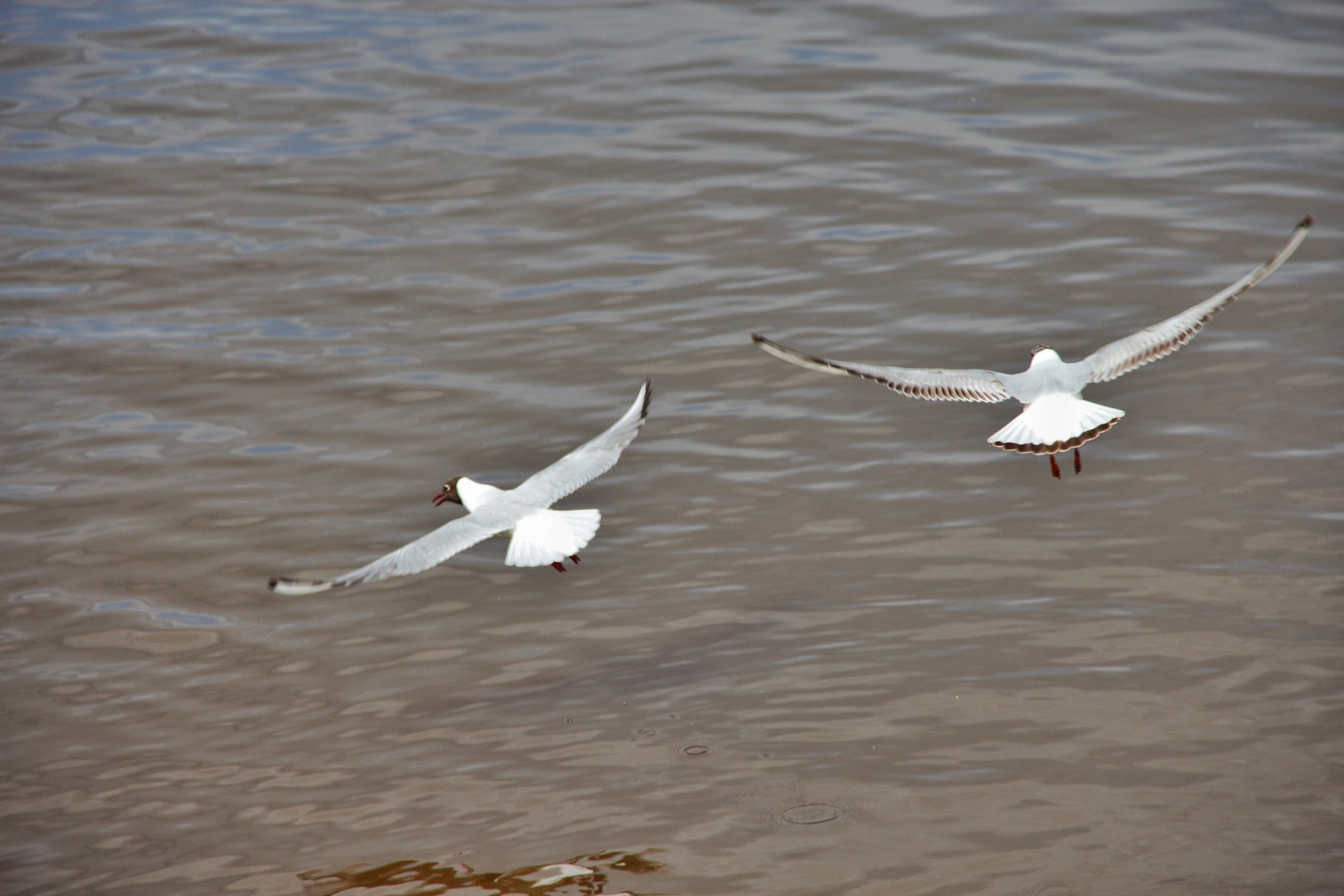 Report: в городе. Фотограф в Перми Любовь Огородова | Авторские туры