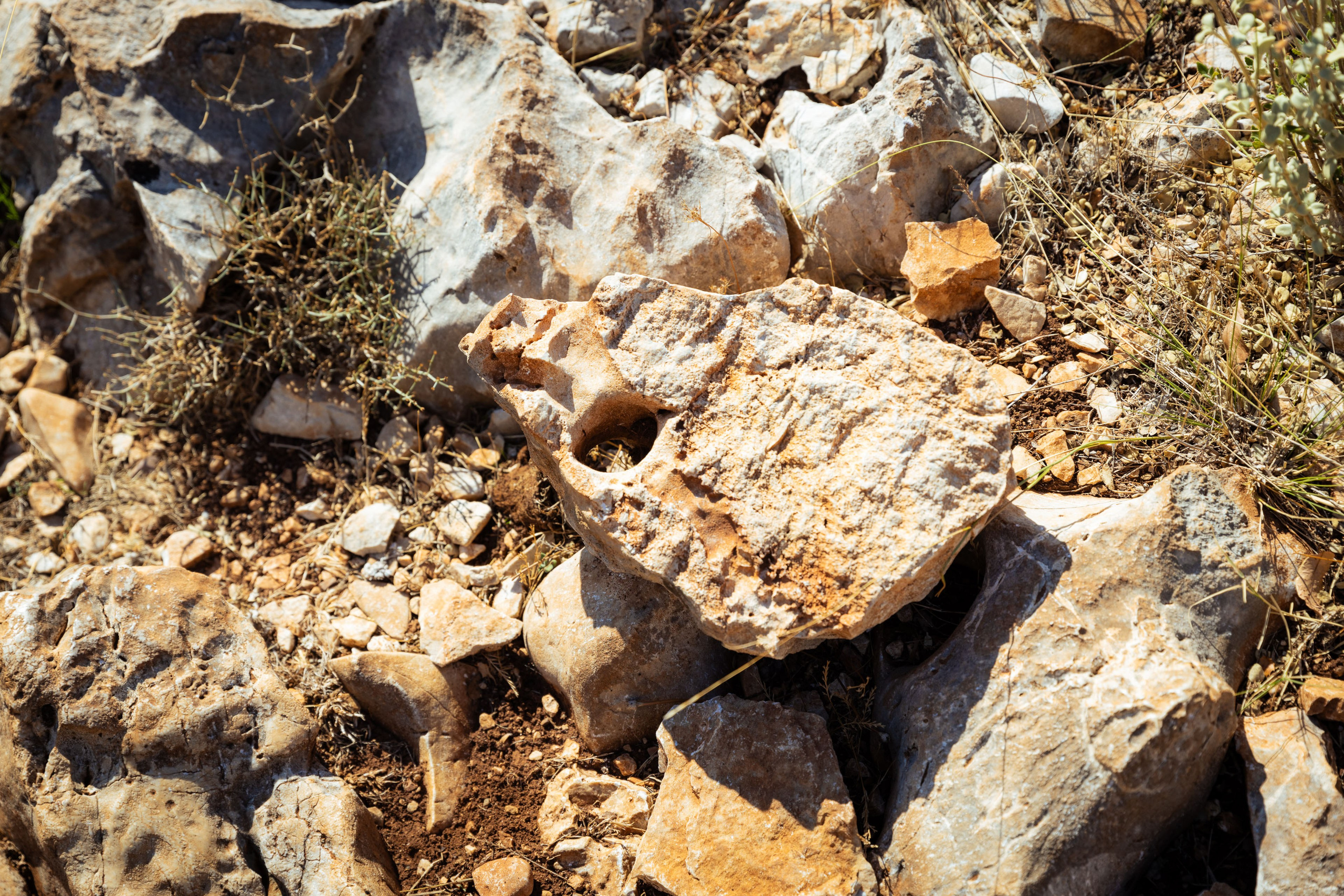 Турция (осень 2023). Фотограф Виноградов Константин