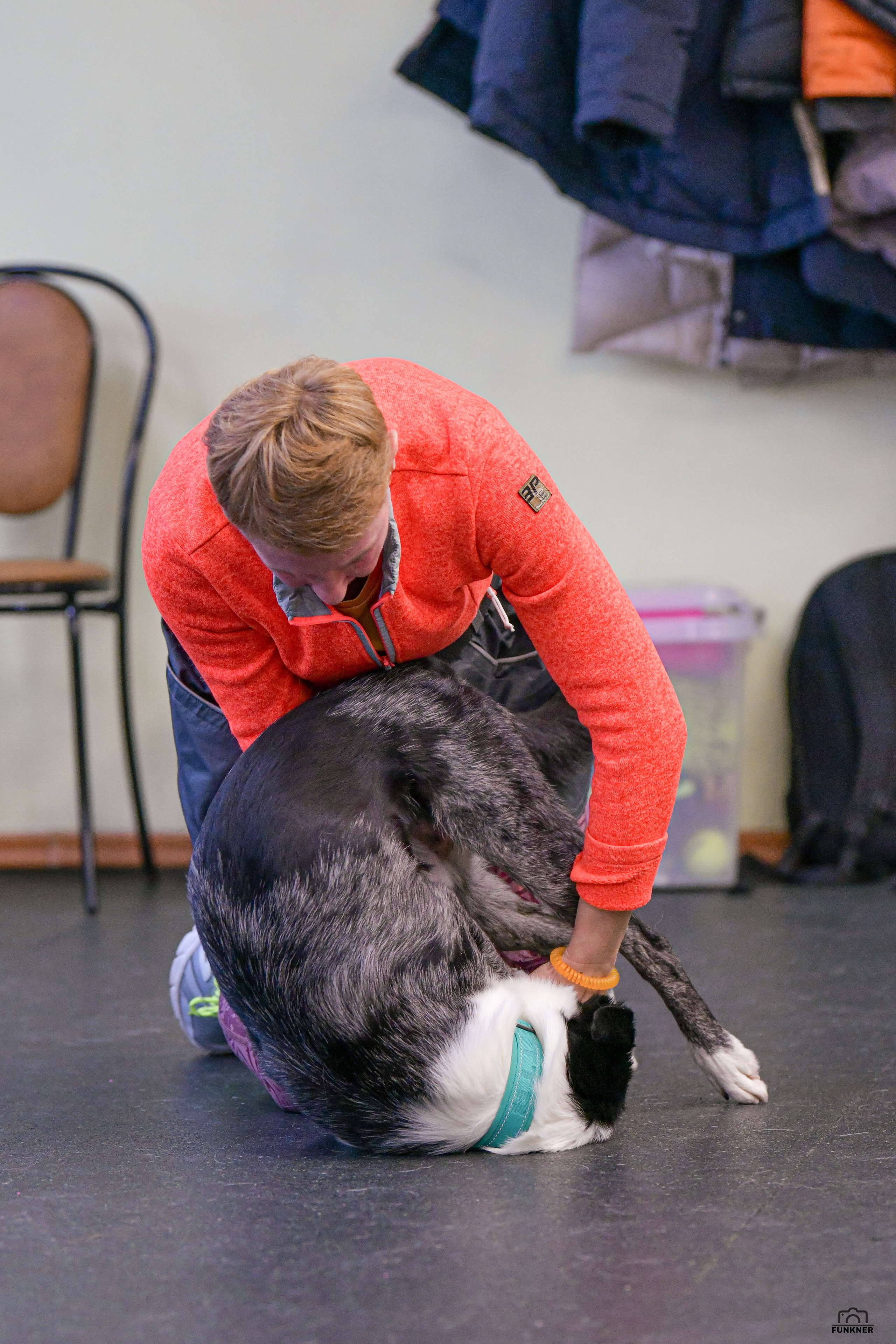 Кинологический клуб «Бодрый хвост». Свой взгляд через объектив