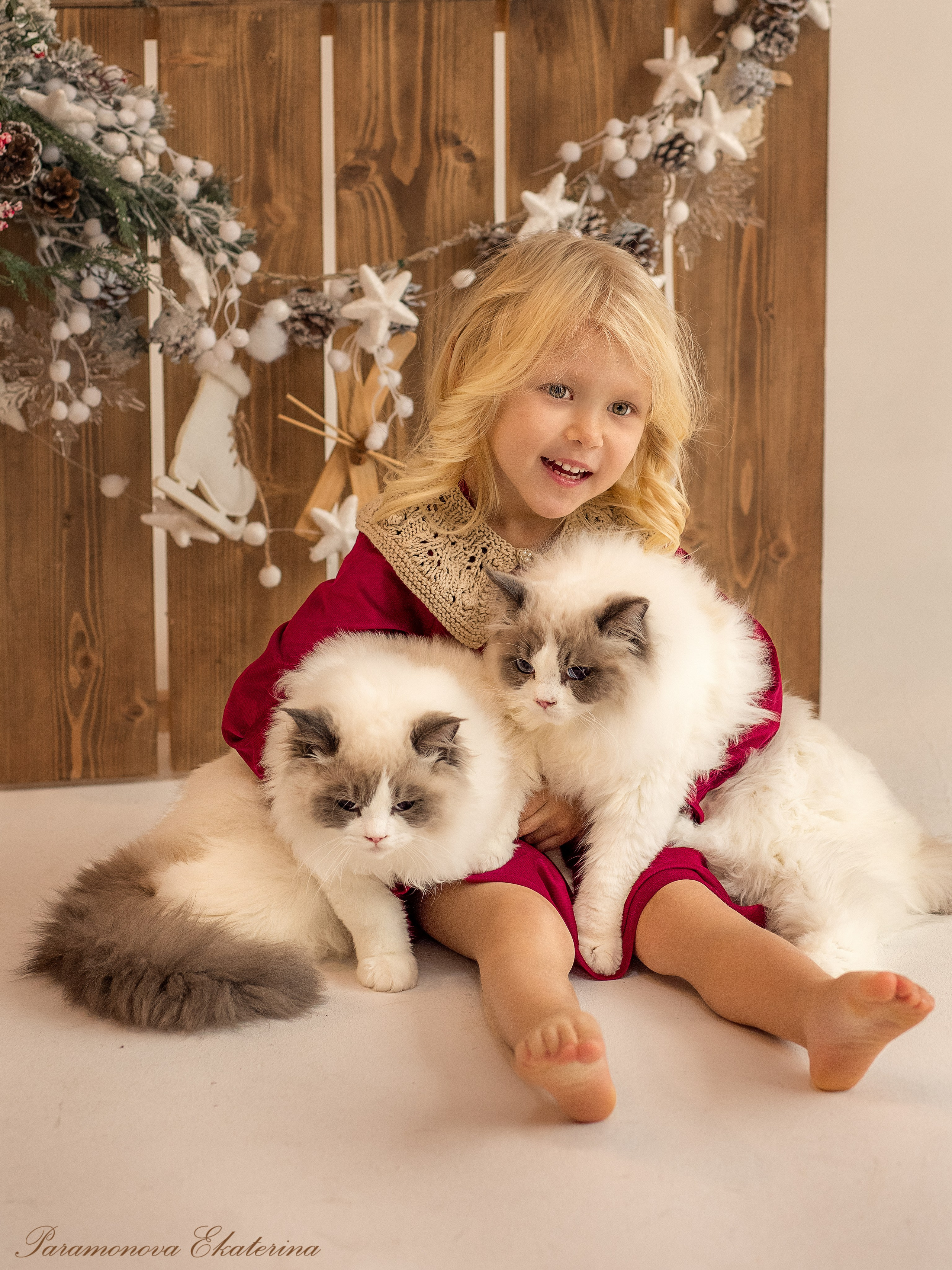 Новогодние котики. Семейный и детский фотограф В Москве Парамонова Екатерина
