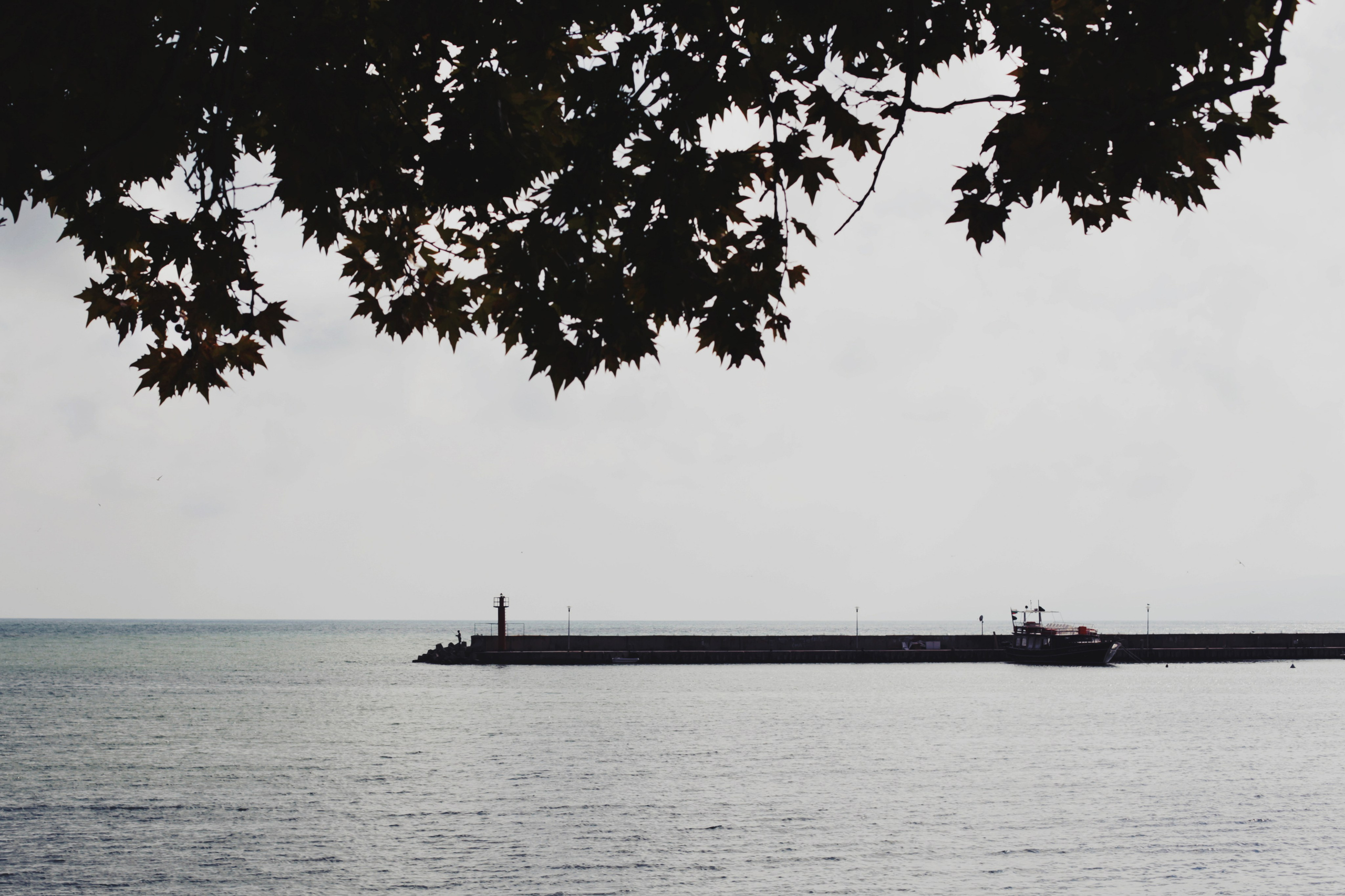 Болгария. Аня Степанова