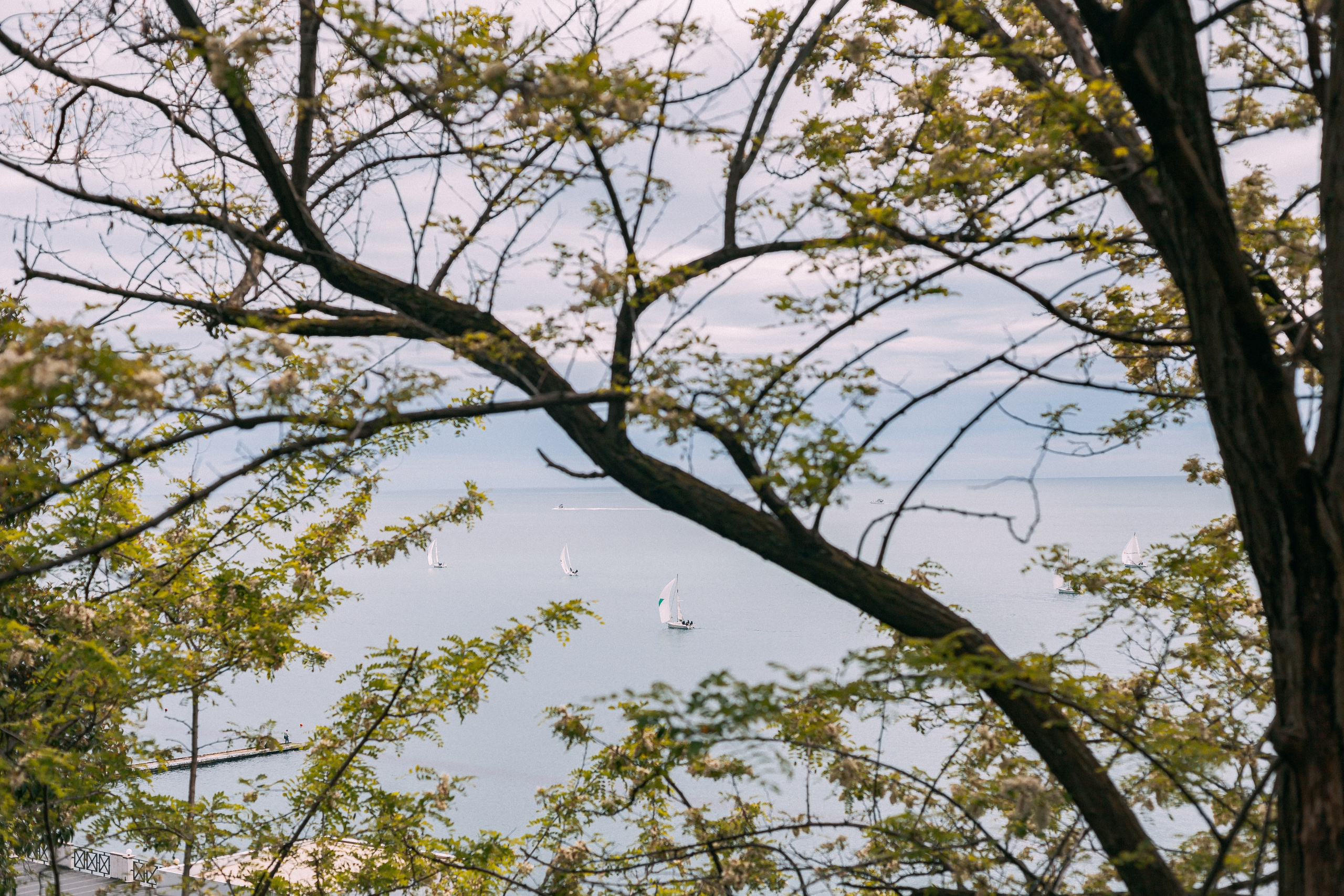 Сочи. Аня Степанова